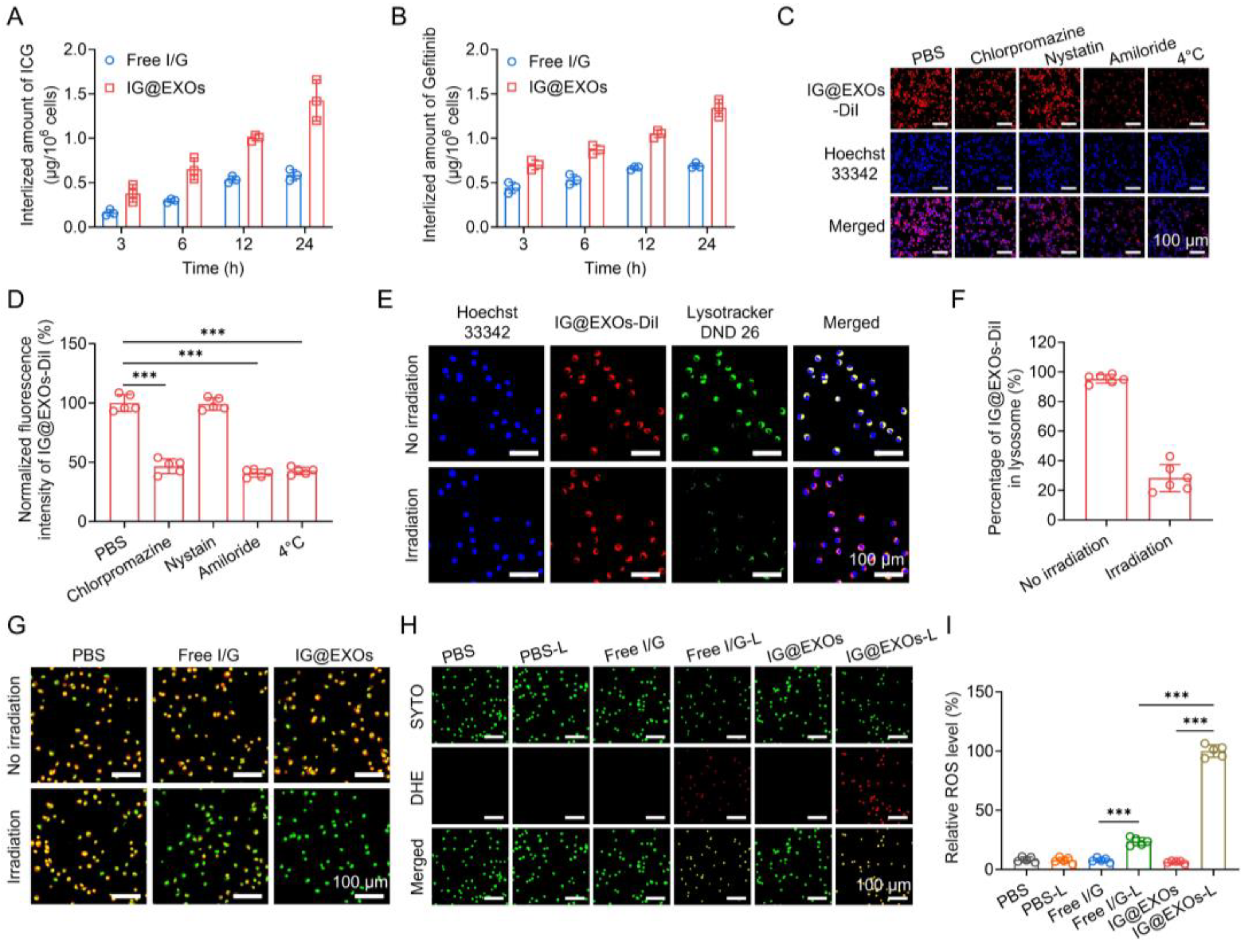Pharmaceutics 16 00033 g002