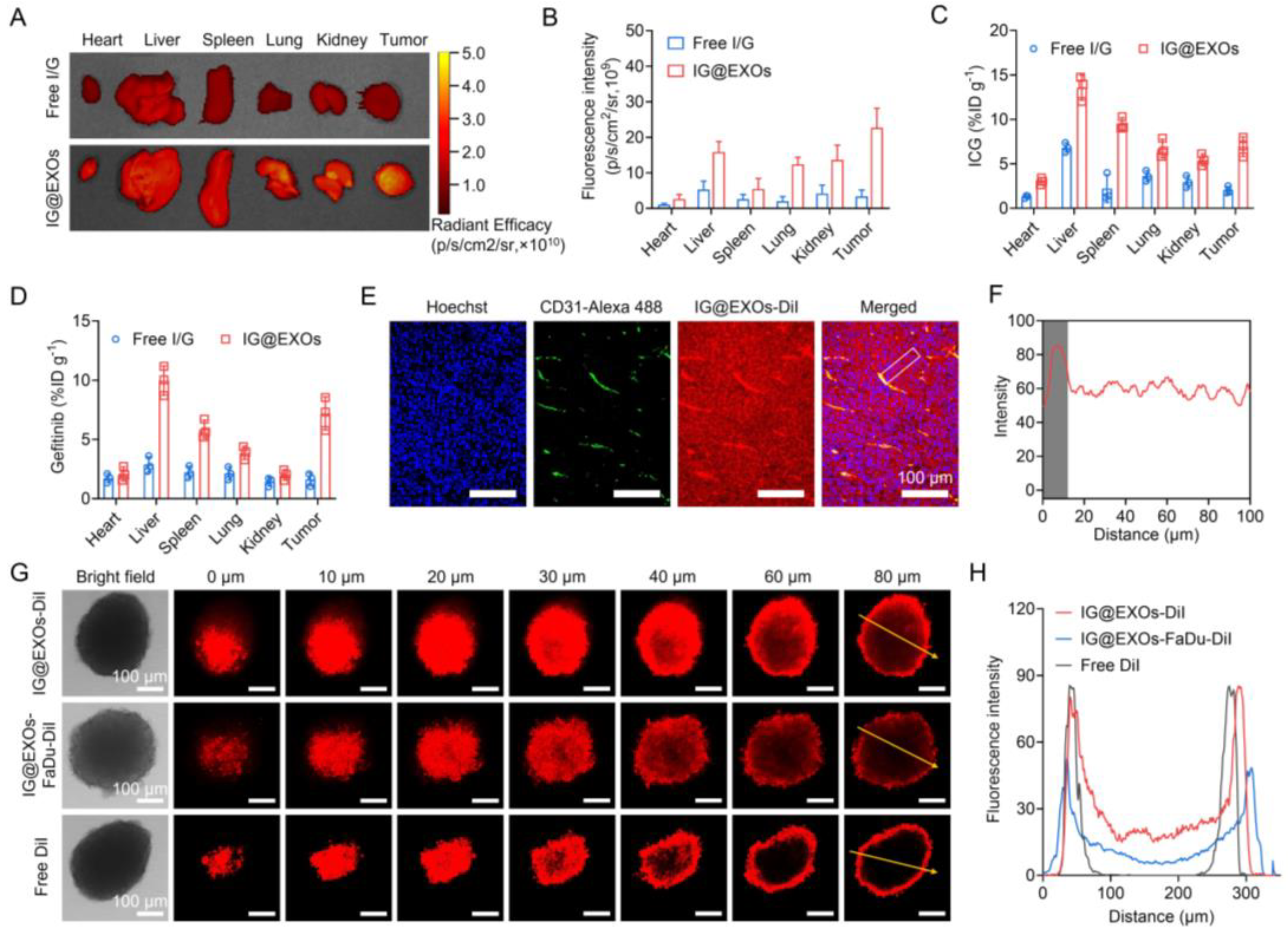 Pharmaceutics 16 00033 g004