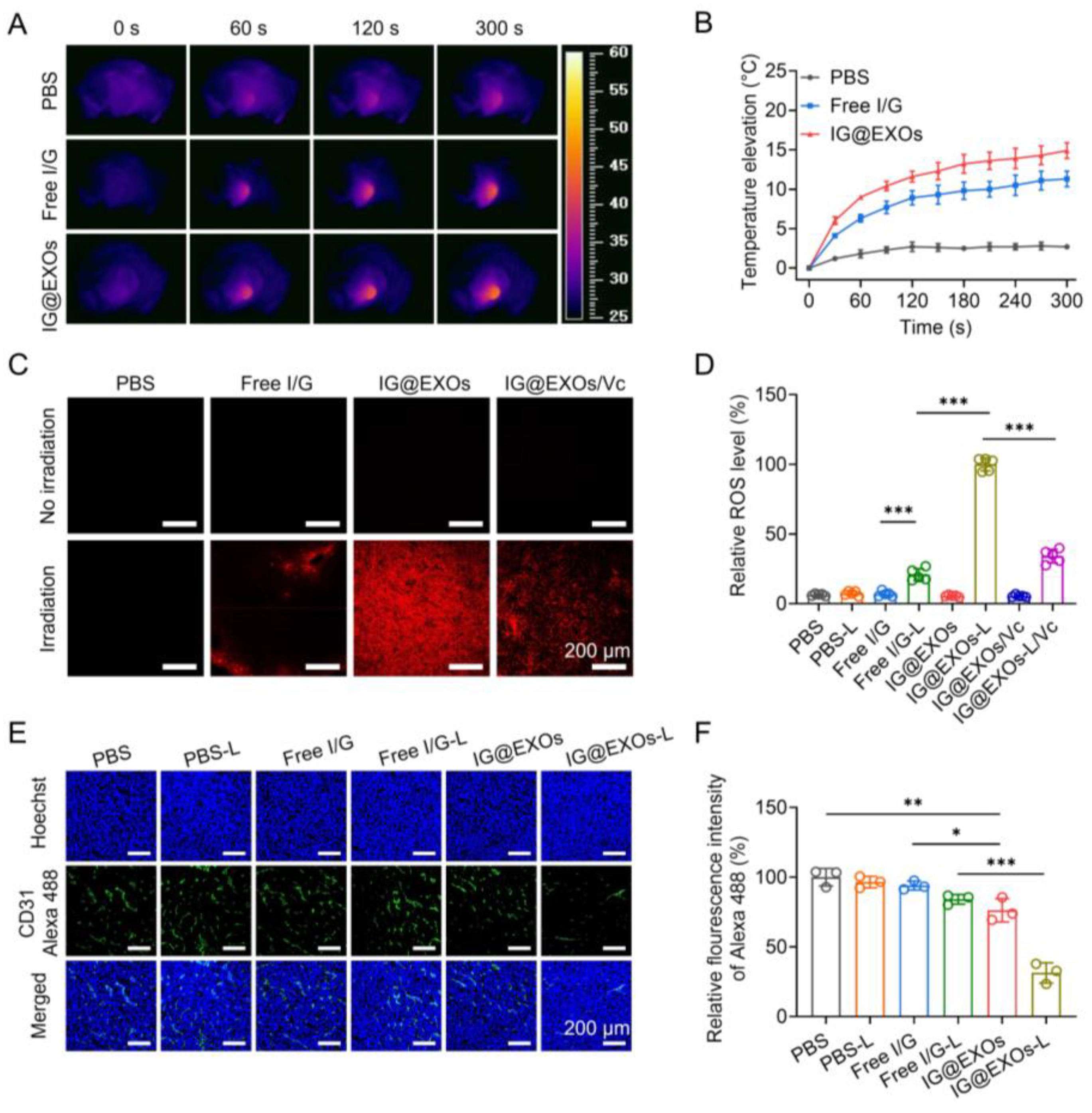 Pharmaceutics 16 00033 g005