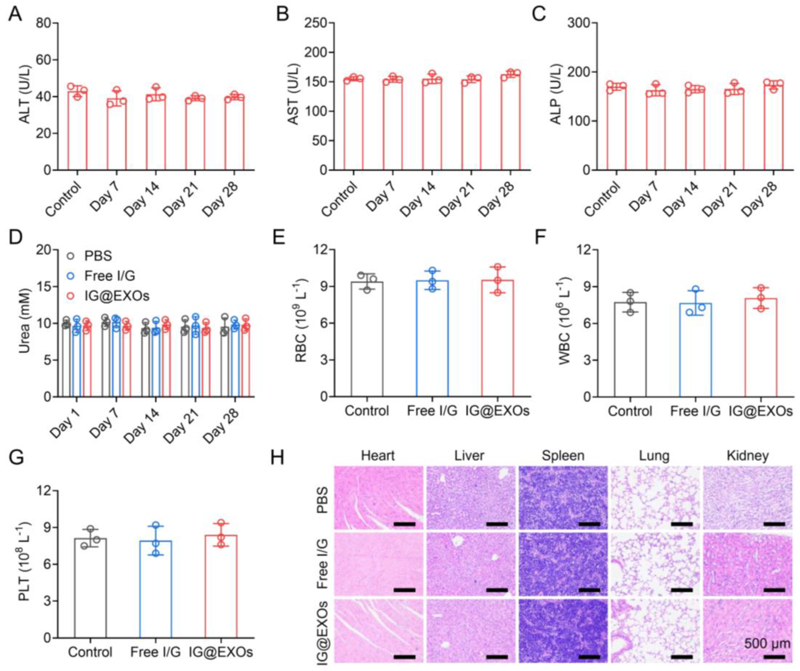 Pharmaceutics 16 00033 g007