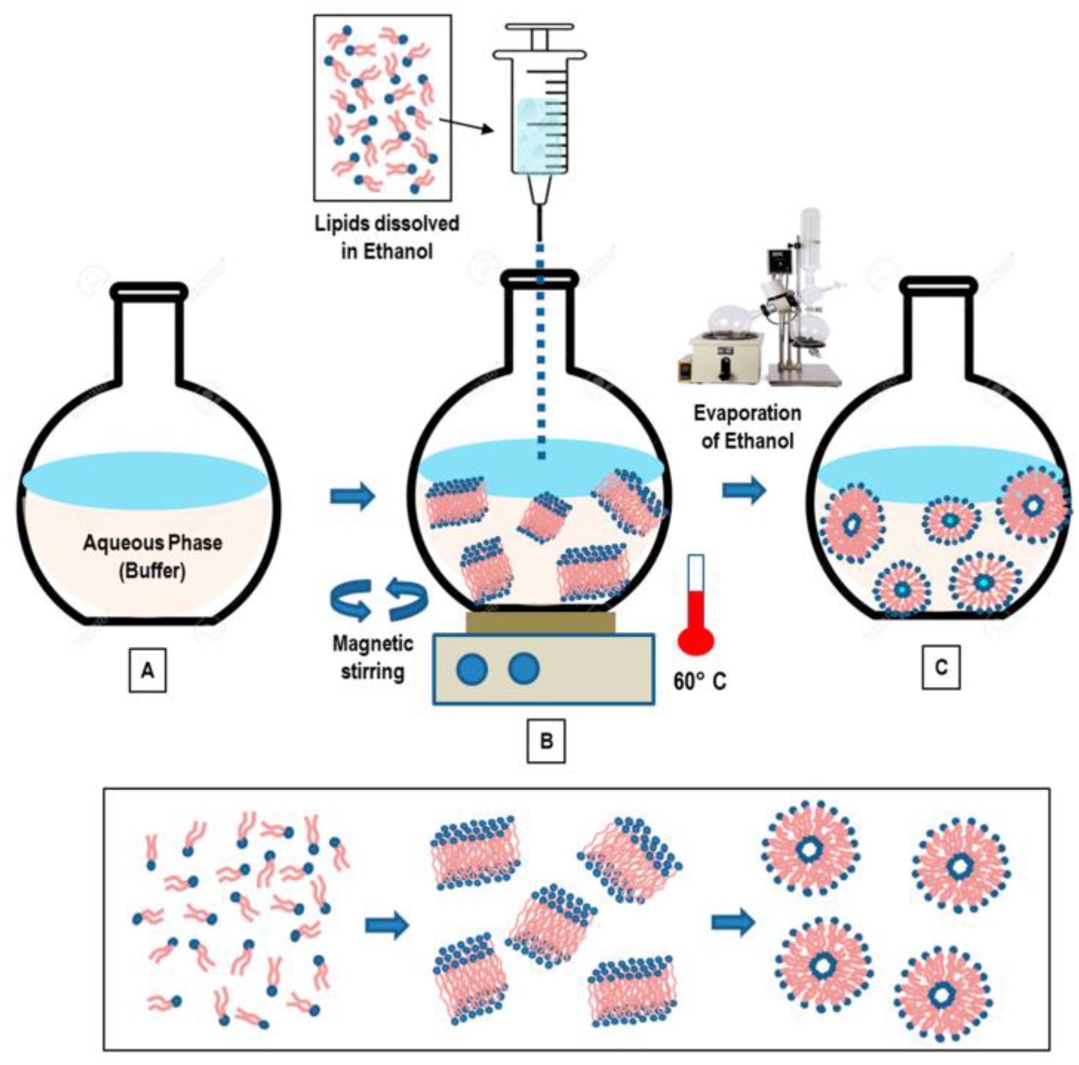 Pharmaceutics 16 00034 g006