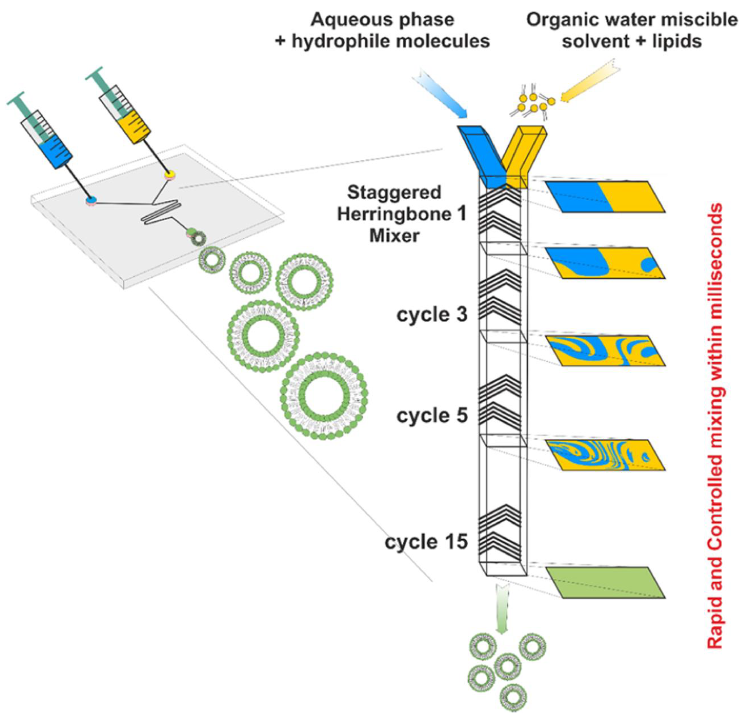 Pharmaceutics 16 00034 g007
