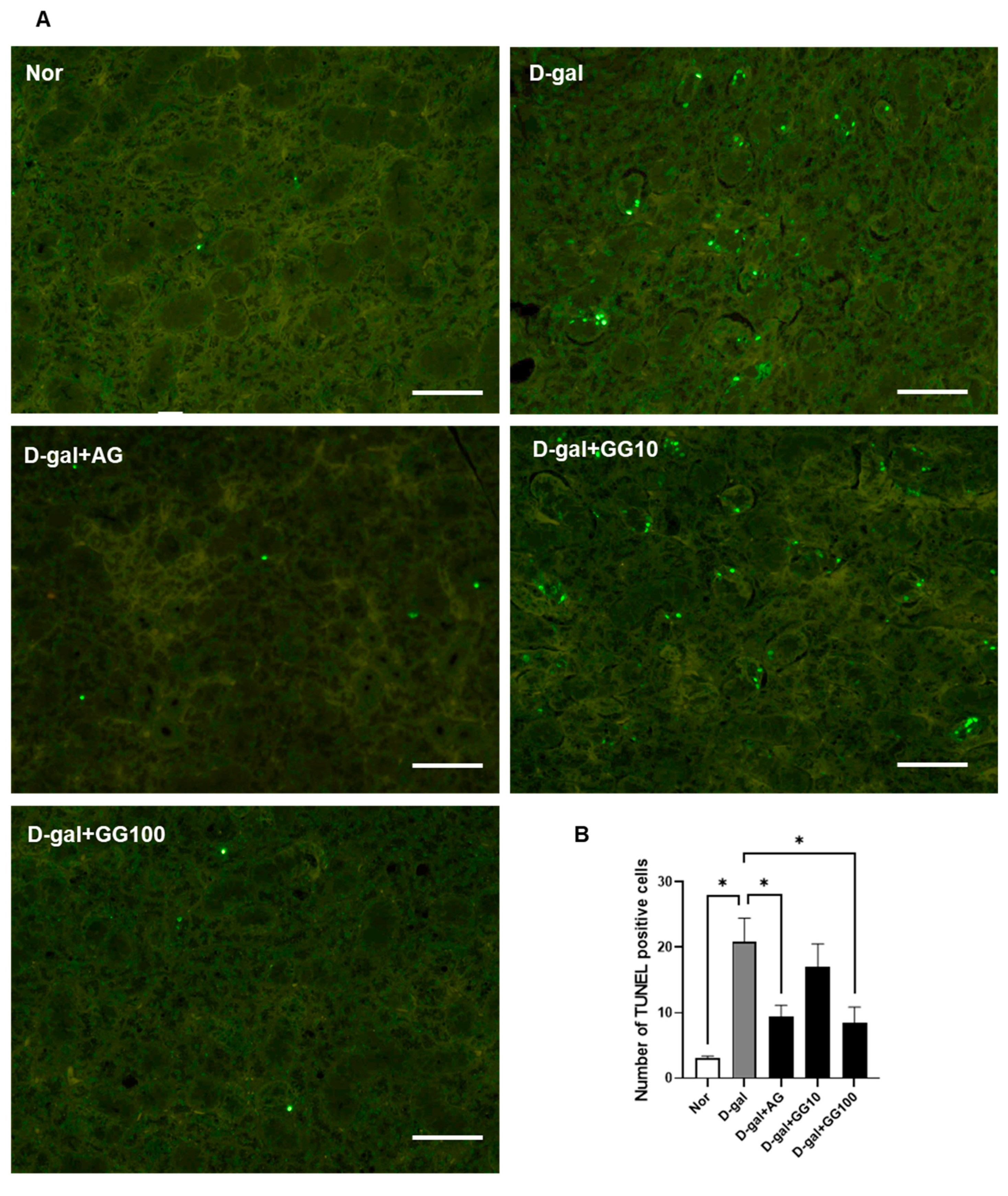 Pharmaceutics 16 00035 g003a Pharmaceutics 16 00035 g003a