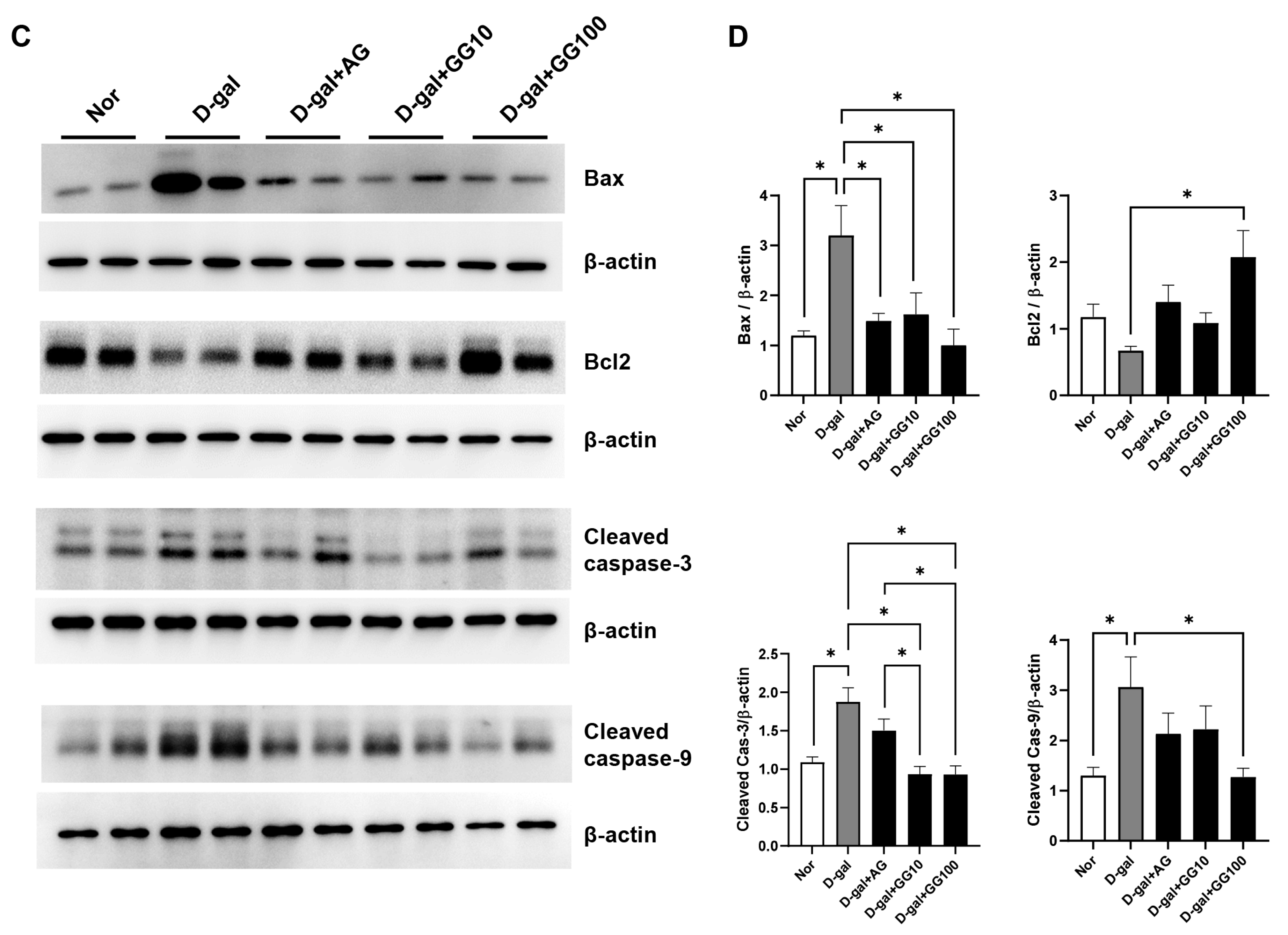 Pharmaceutics 16 00035 g003b Pharmaceutics 16 00035 g003b