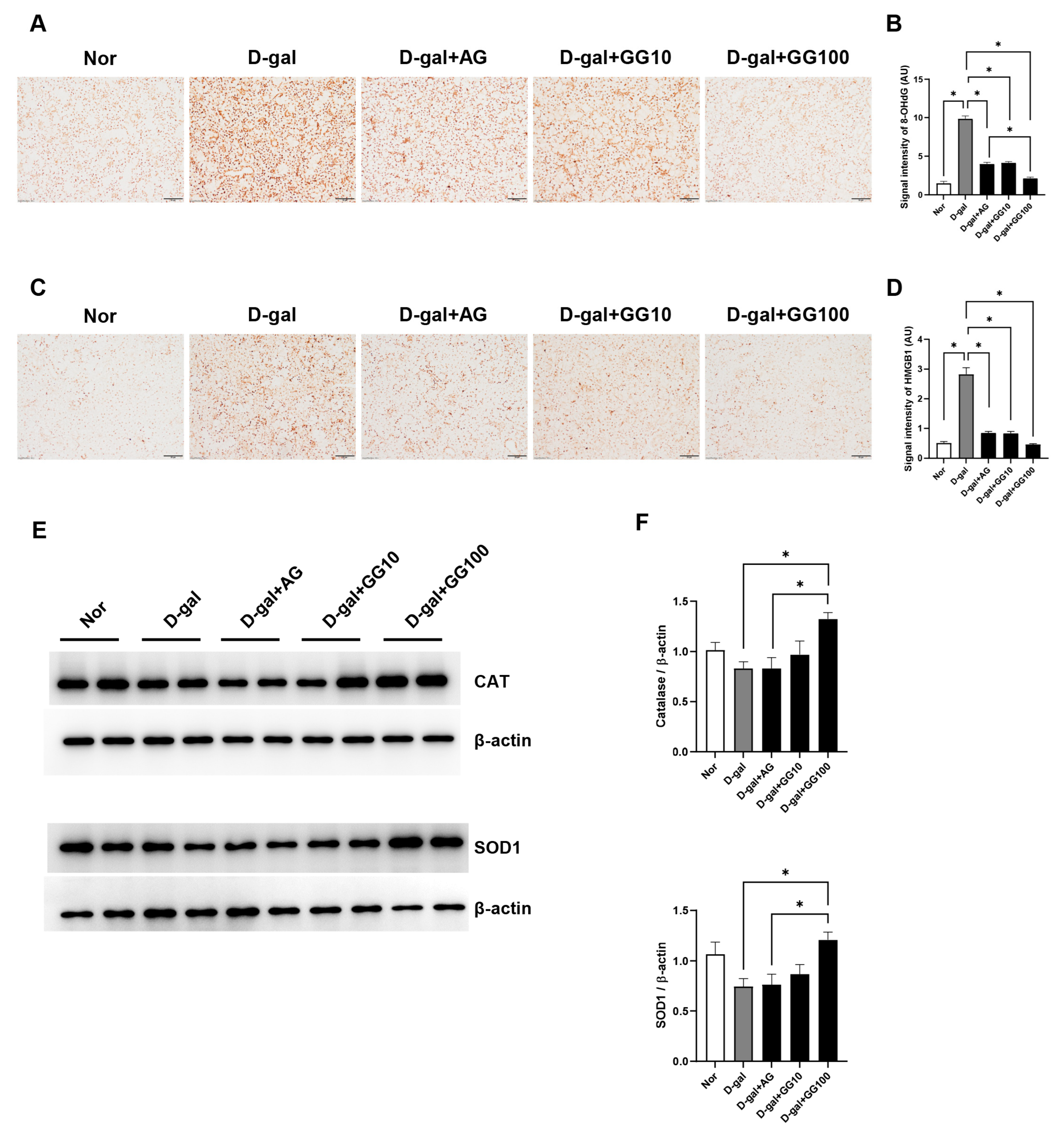 Pharmaceutics 16 00035 g004 Pharmaceutics 16 00035 g004