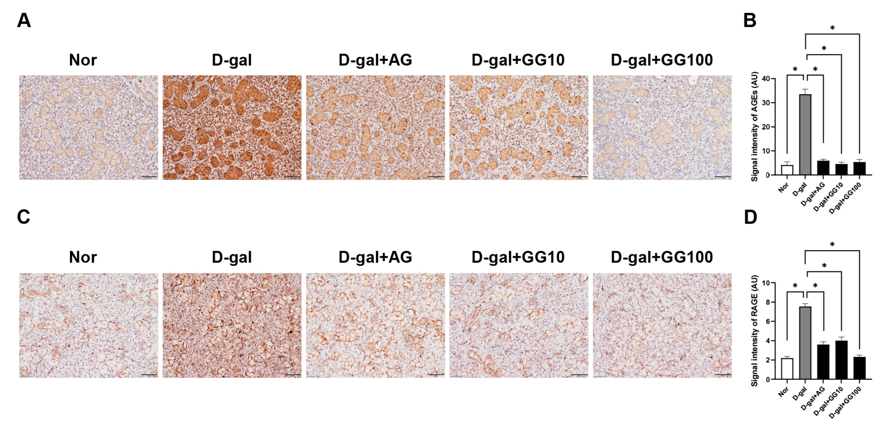 Pharmaceutics 16 00035 g005a Pharmaceutics 16 00035 g005a