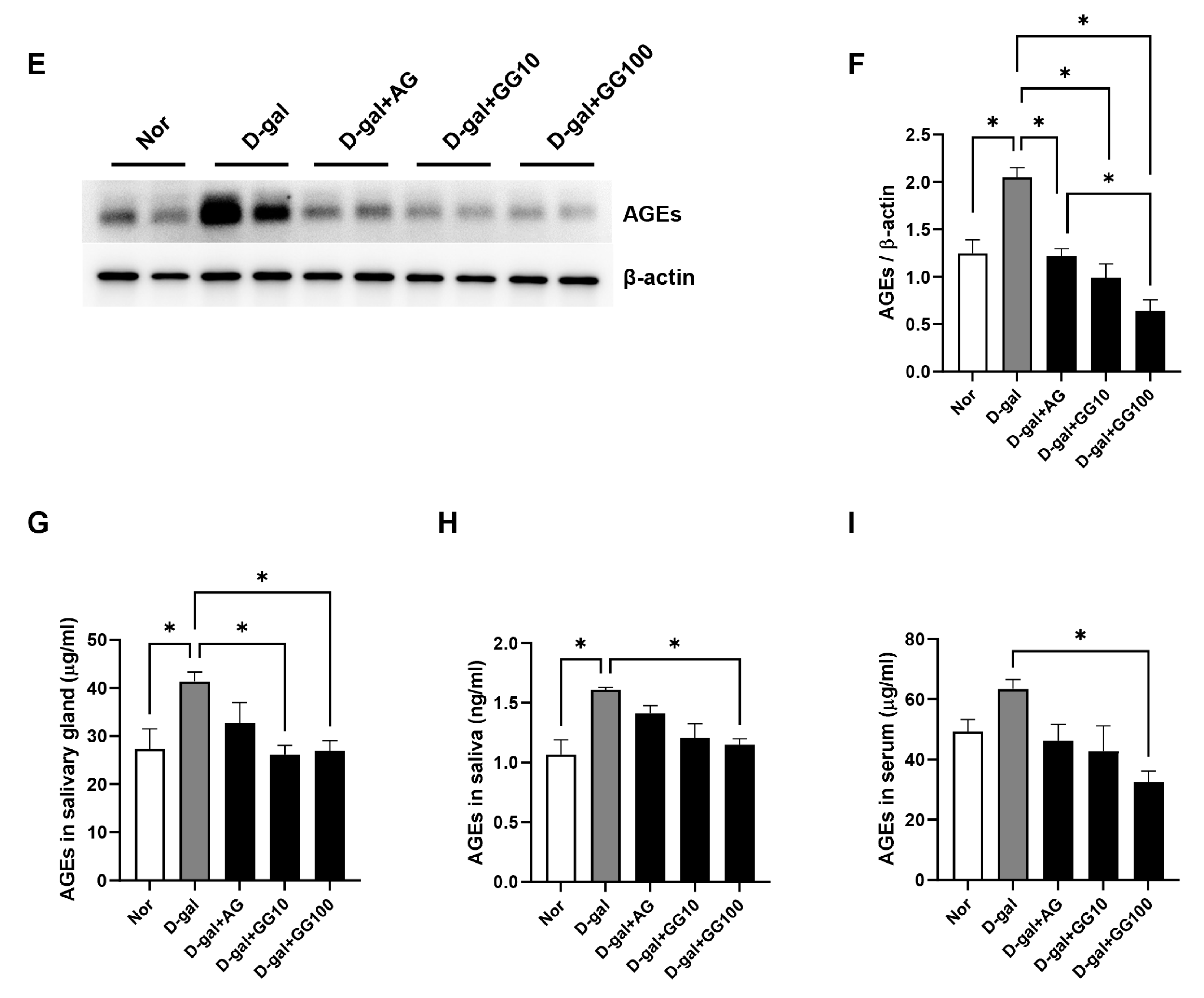 Pharmaceutics 16 00035 g005b Pharmaceutics 16 00035 g005b