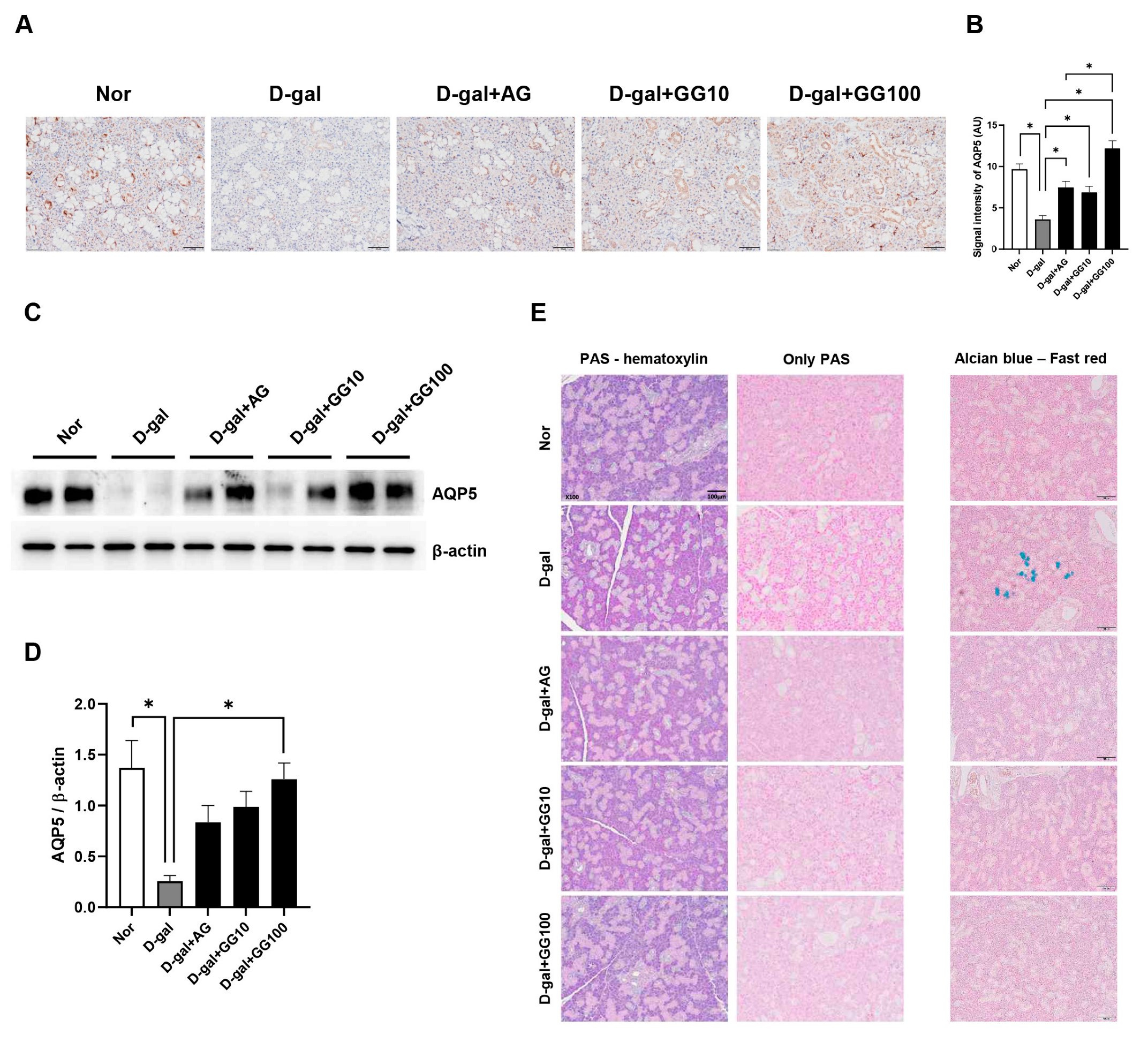 Pharmaceutics 16 00035 g006 Pharmaceutics 16 00035 g006