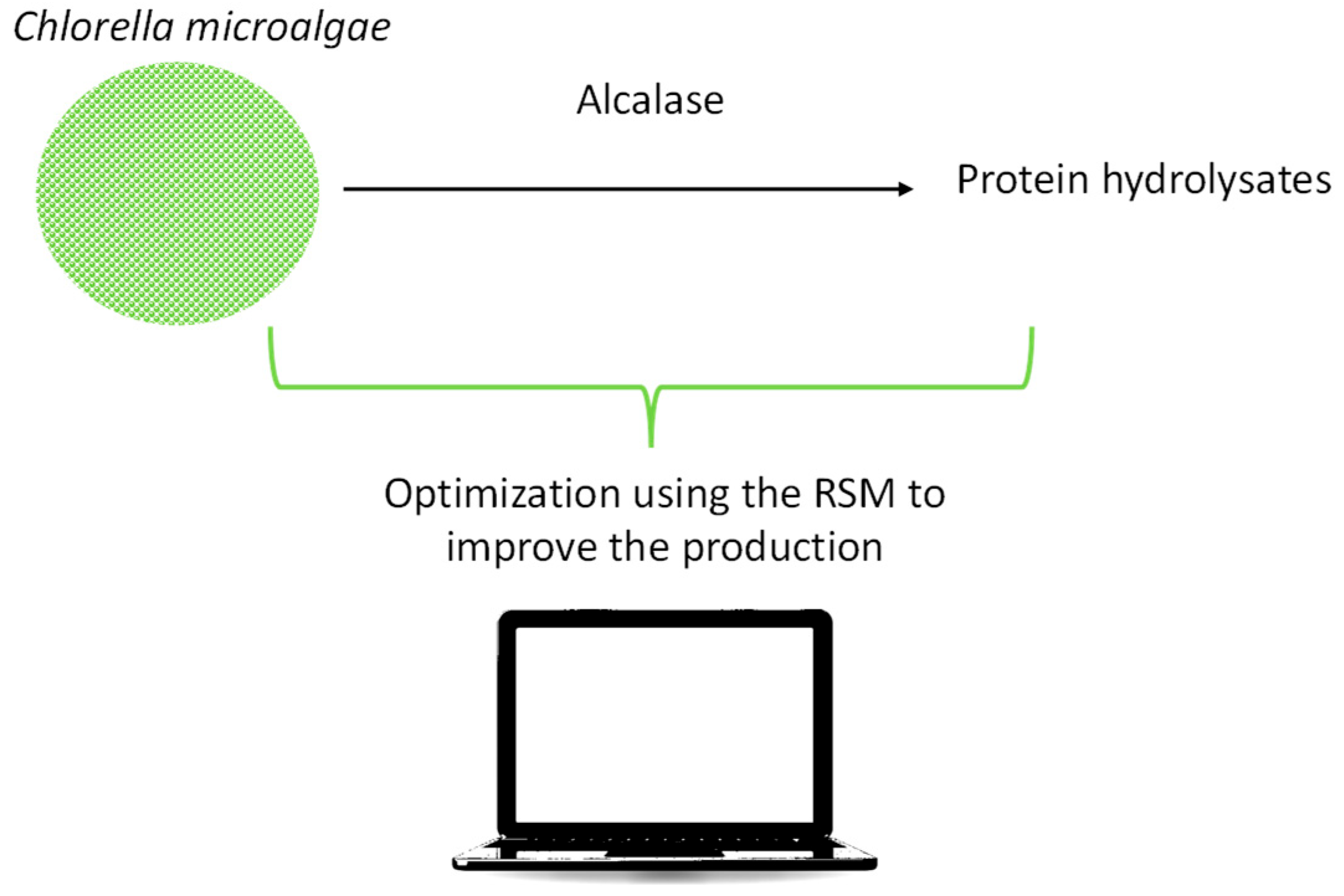 Pharmaceutics 16 00038 g005
