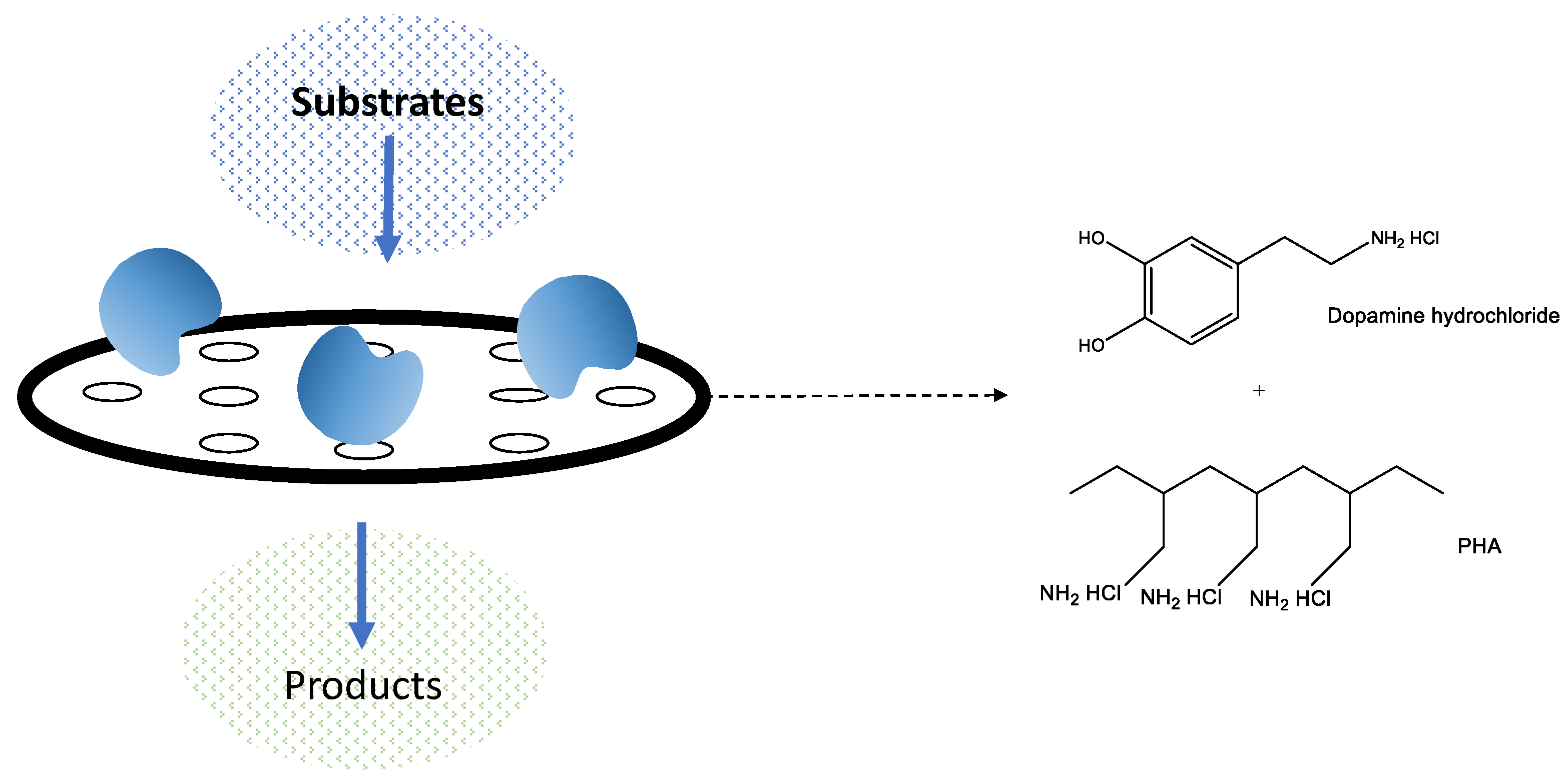 Pharmaceutics 16 00038 g006