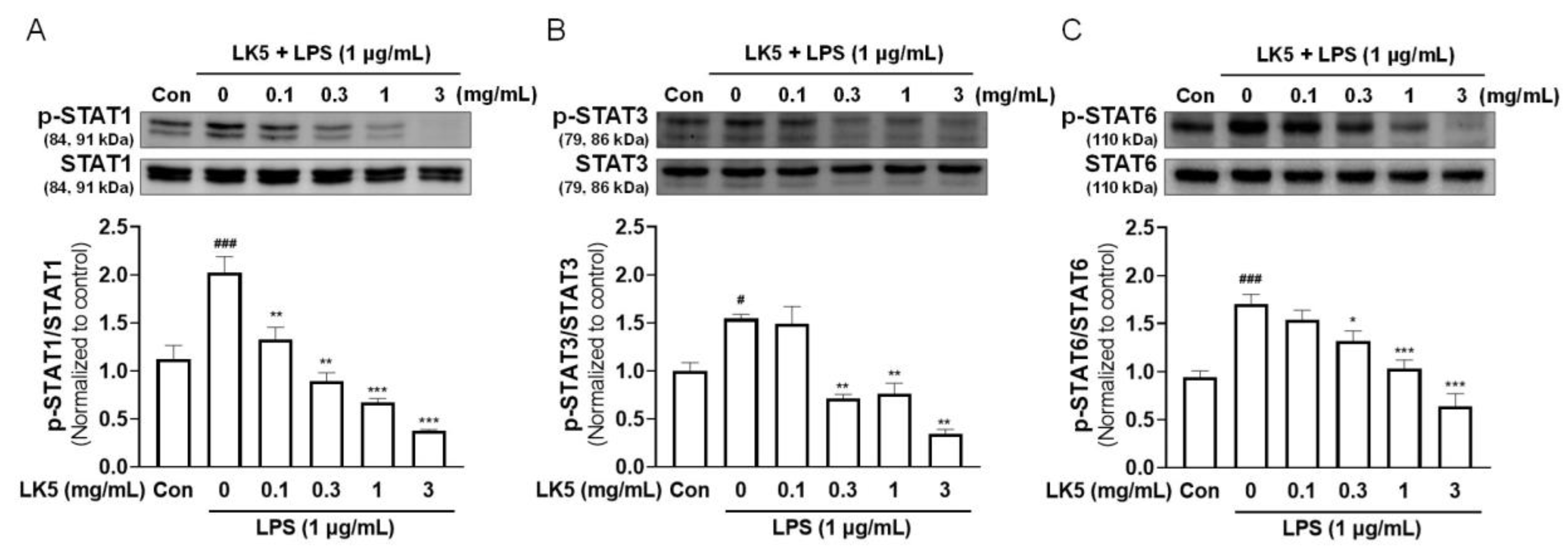 Pharmaceutics 16 00040 g004
