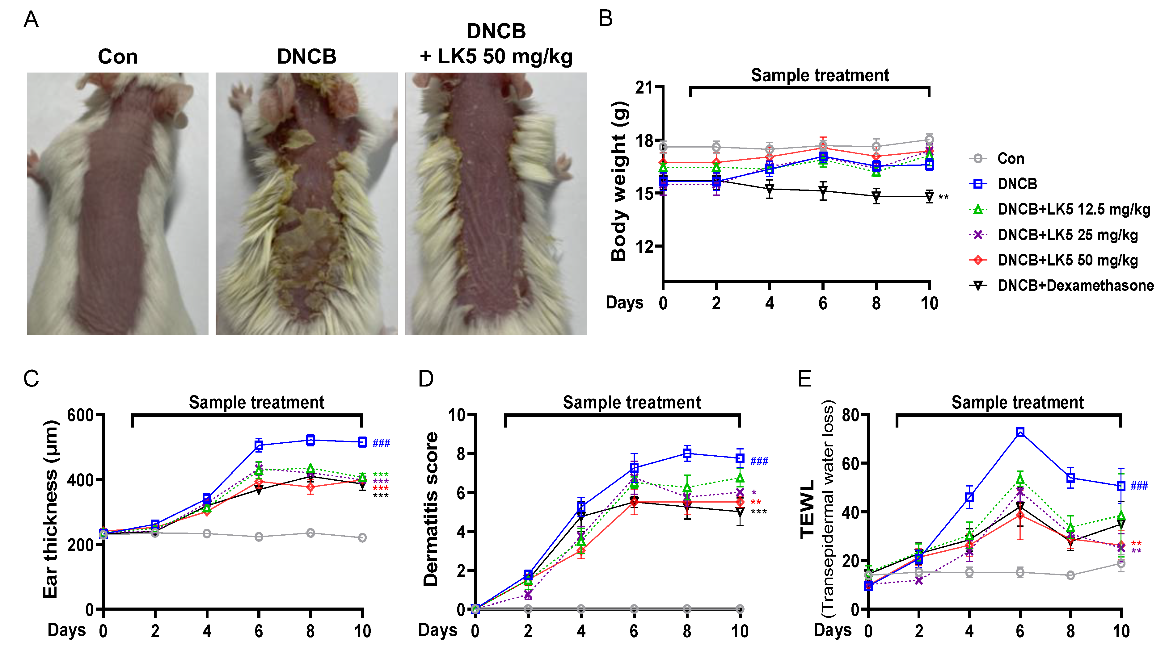 Pharmaceutics 16 00040 g006