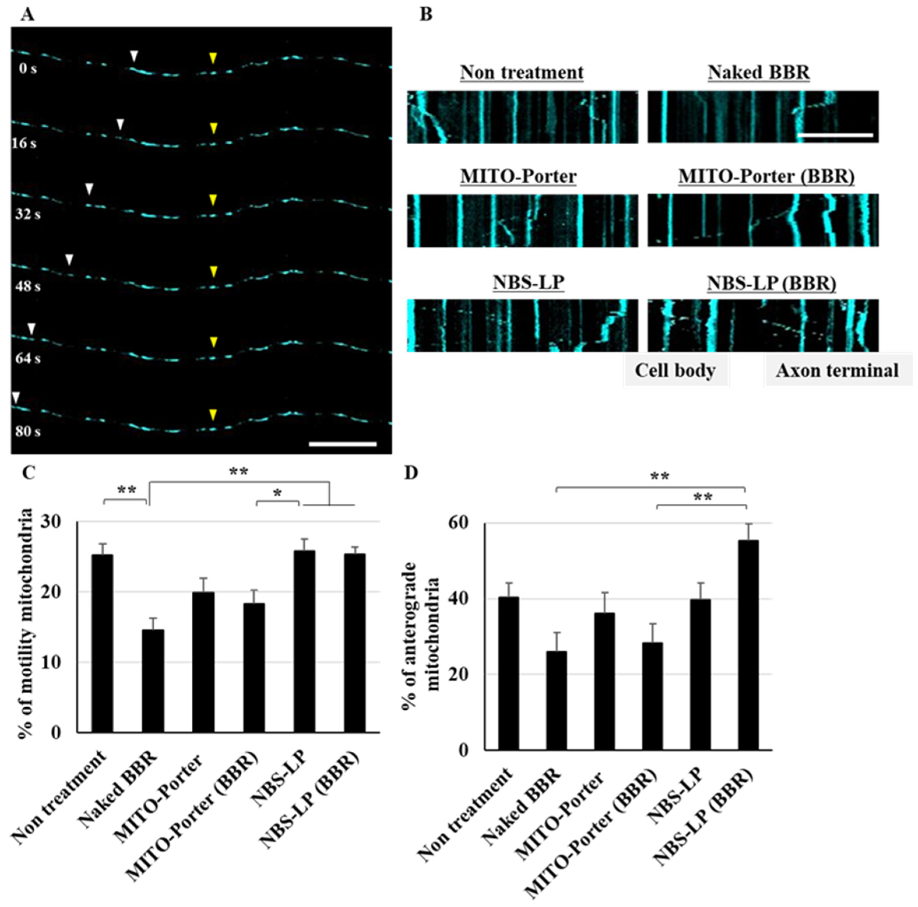 Pharmaceutics 16 00049 g004