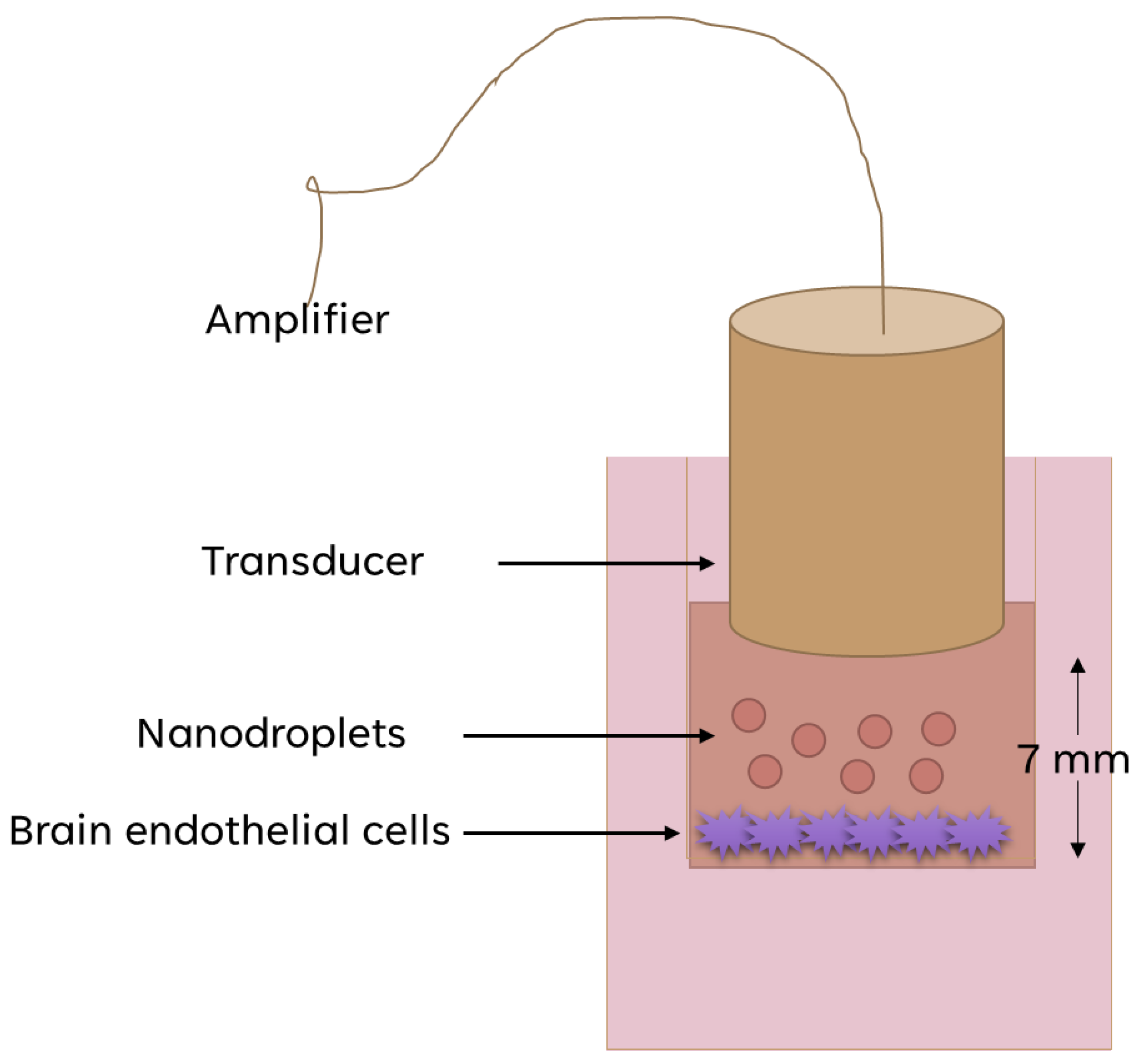 Pharmaceutics 16 00051 g002