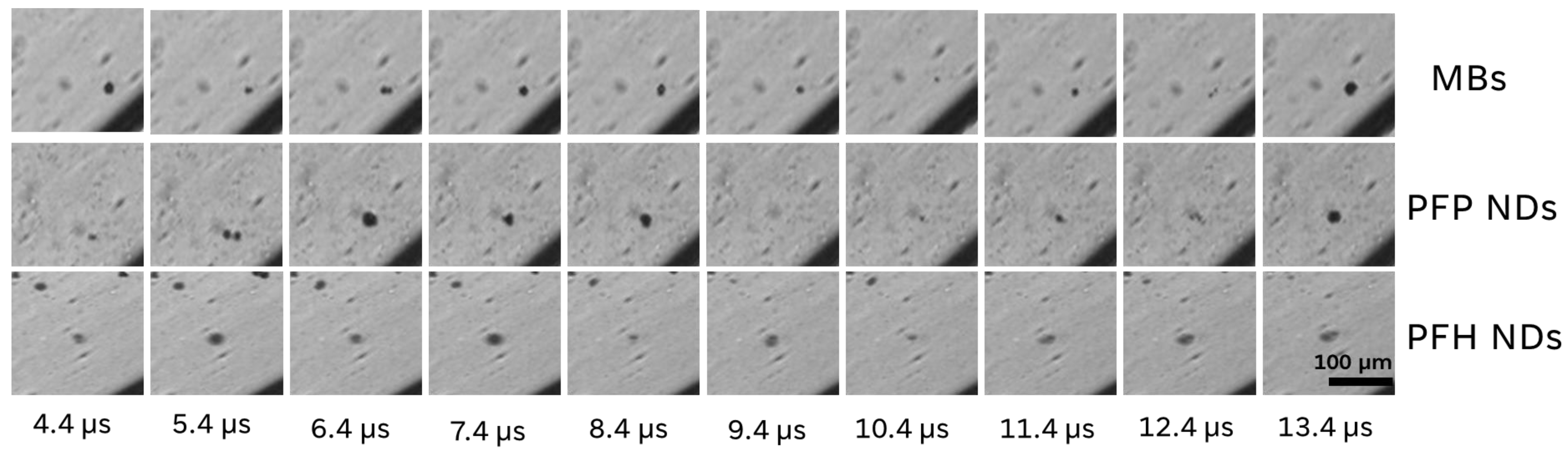 Pharmaceutics 16 00051 g005