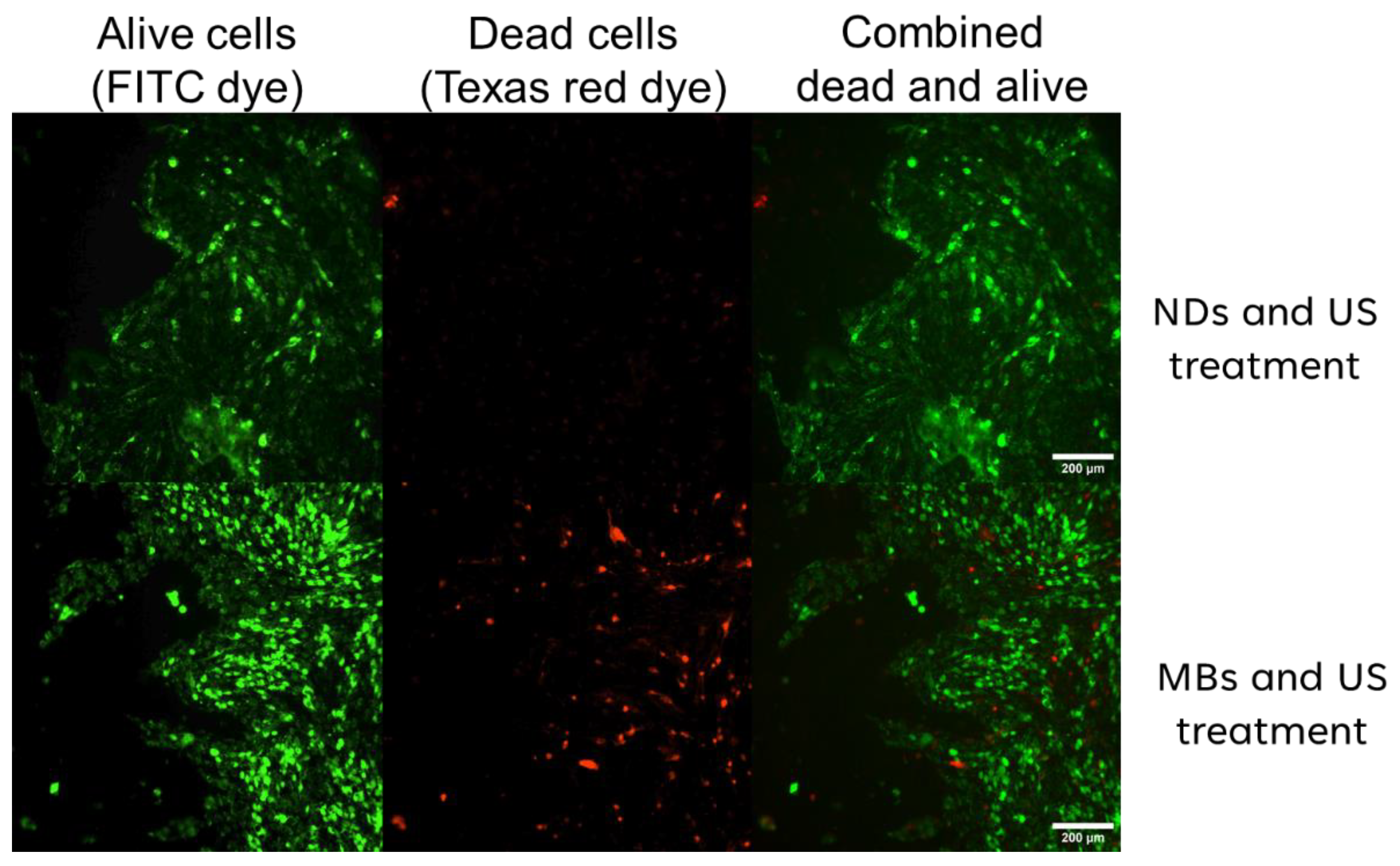 Pharmaceutics 16 00051 g008