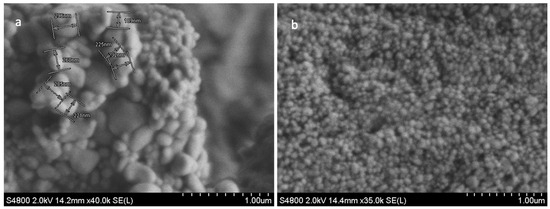 セット Microneedle-Assisted Transfersomes as a Transdermal Delivery