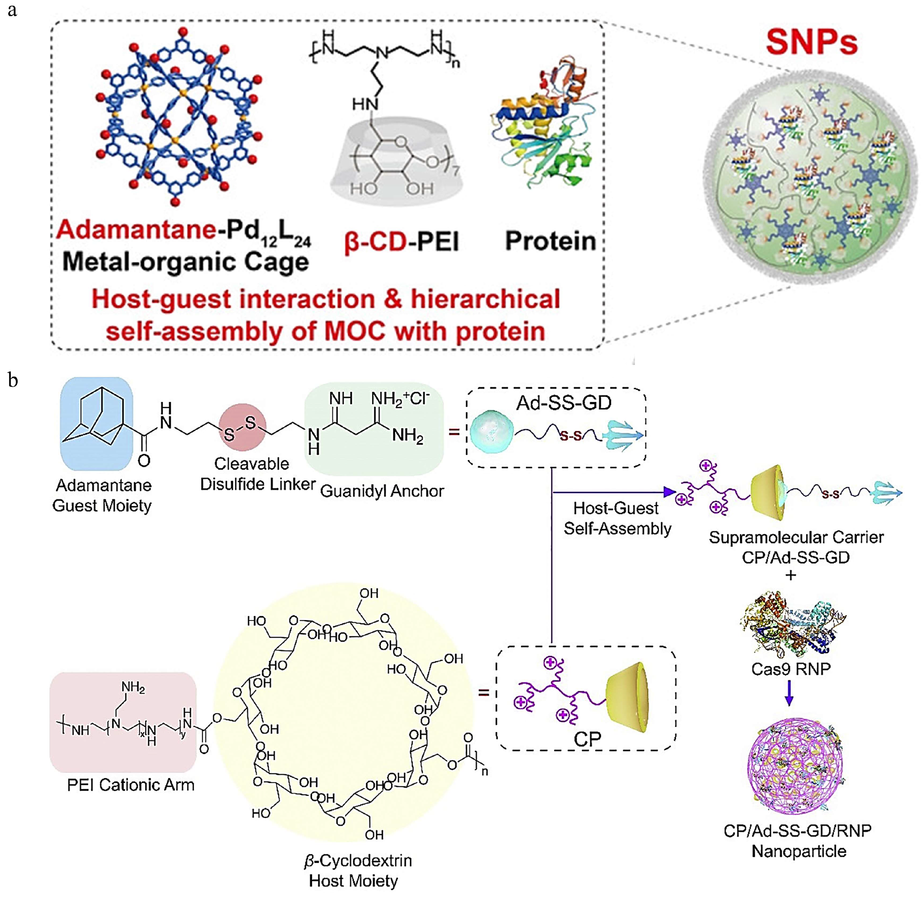 Pharmaceutics 16 00062 g004