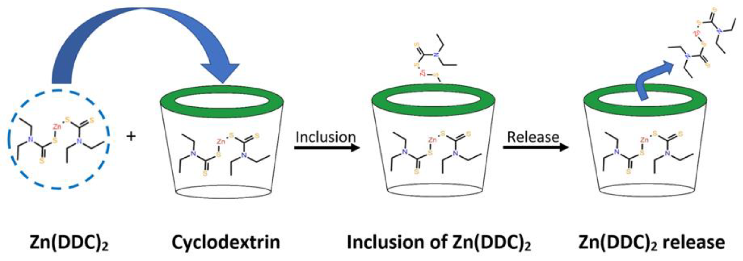 Pharmaceutics 16 00065 g001
