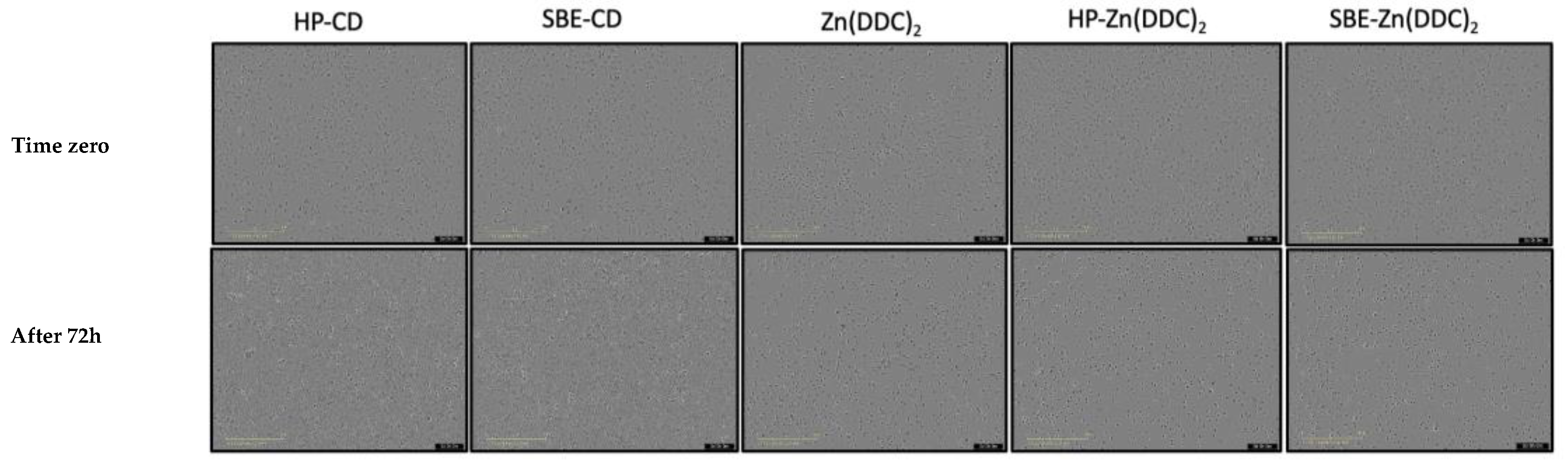 Pharmaceutics 16 00065 g007