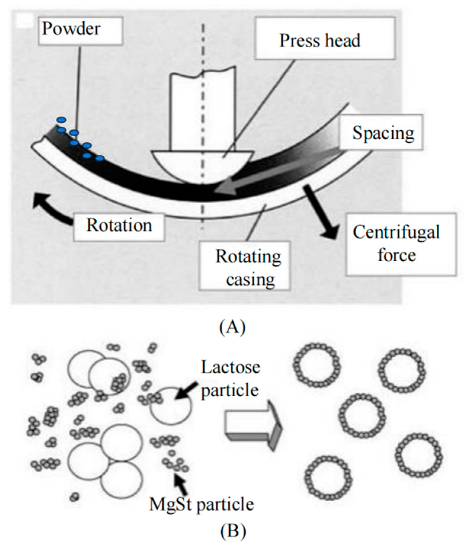 Pharmaceutics 16 00068 g003