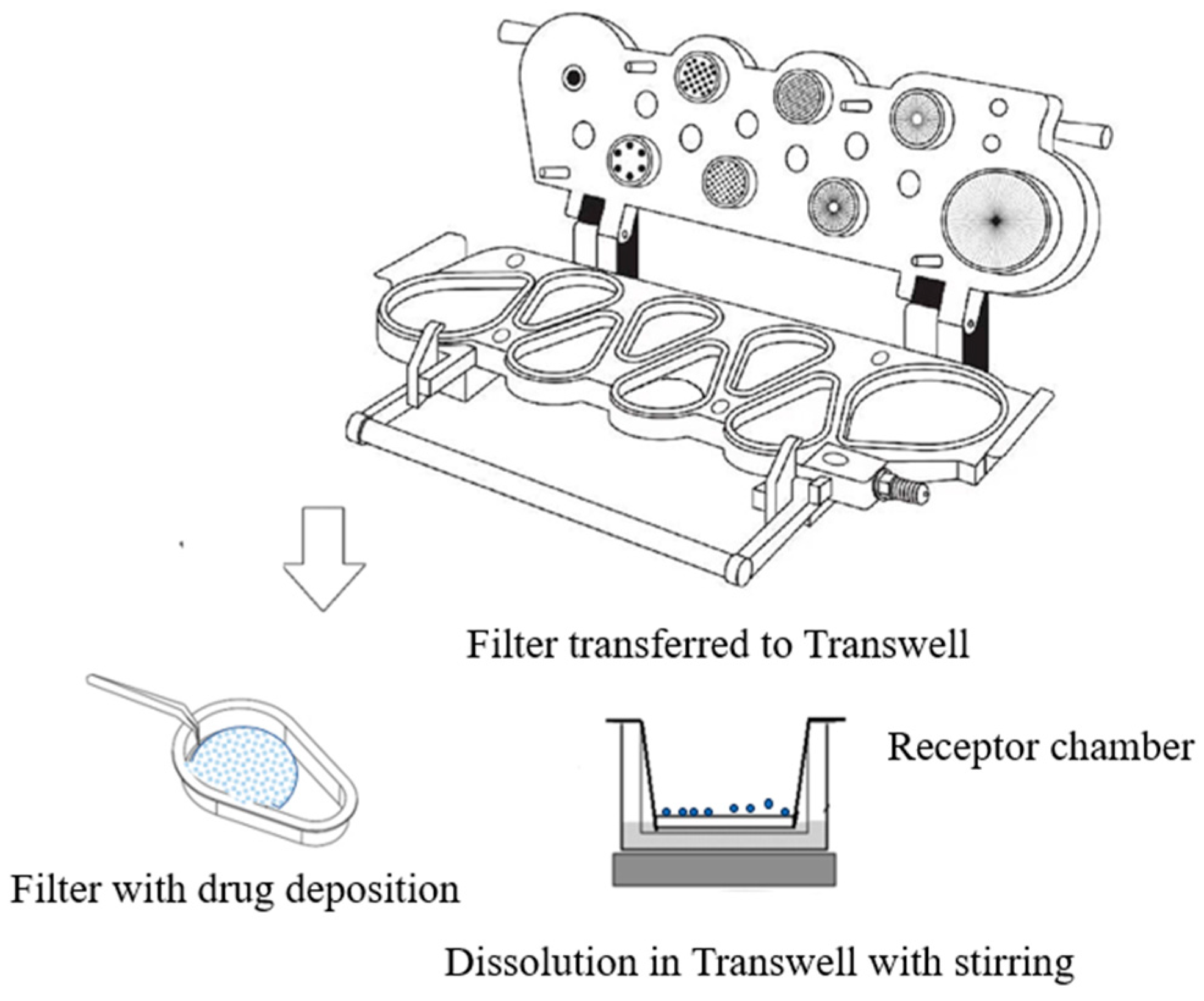 Pharmaceutics 16 00068 g005