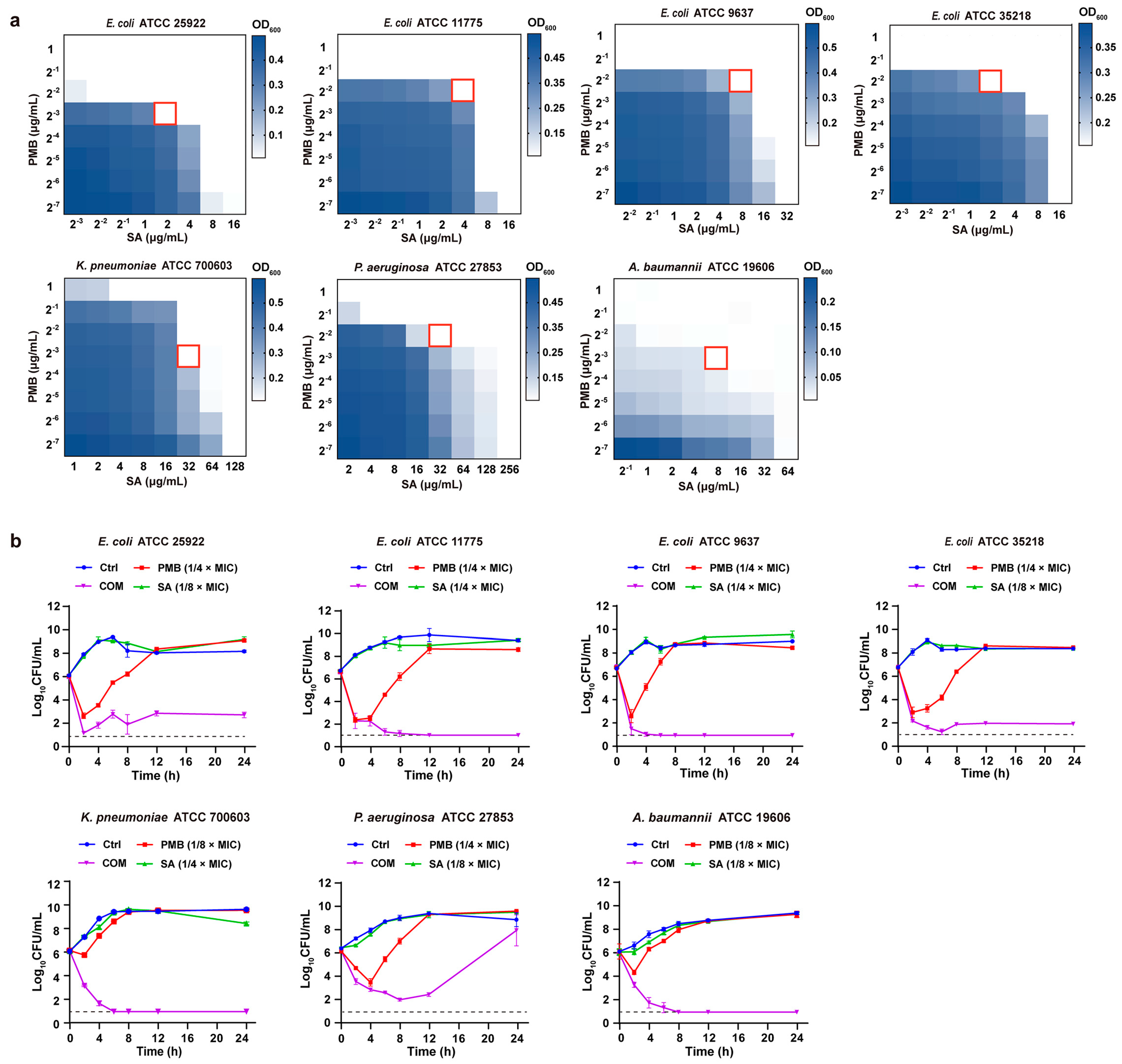 Pharmaceutics 16 00070 g002