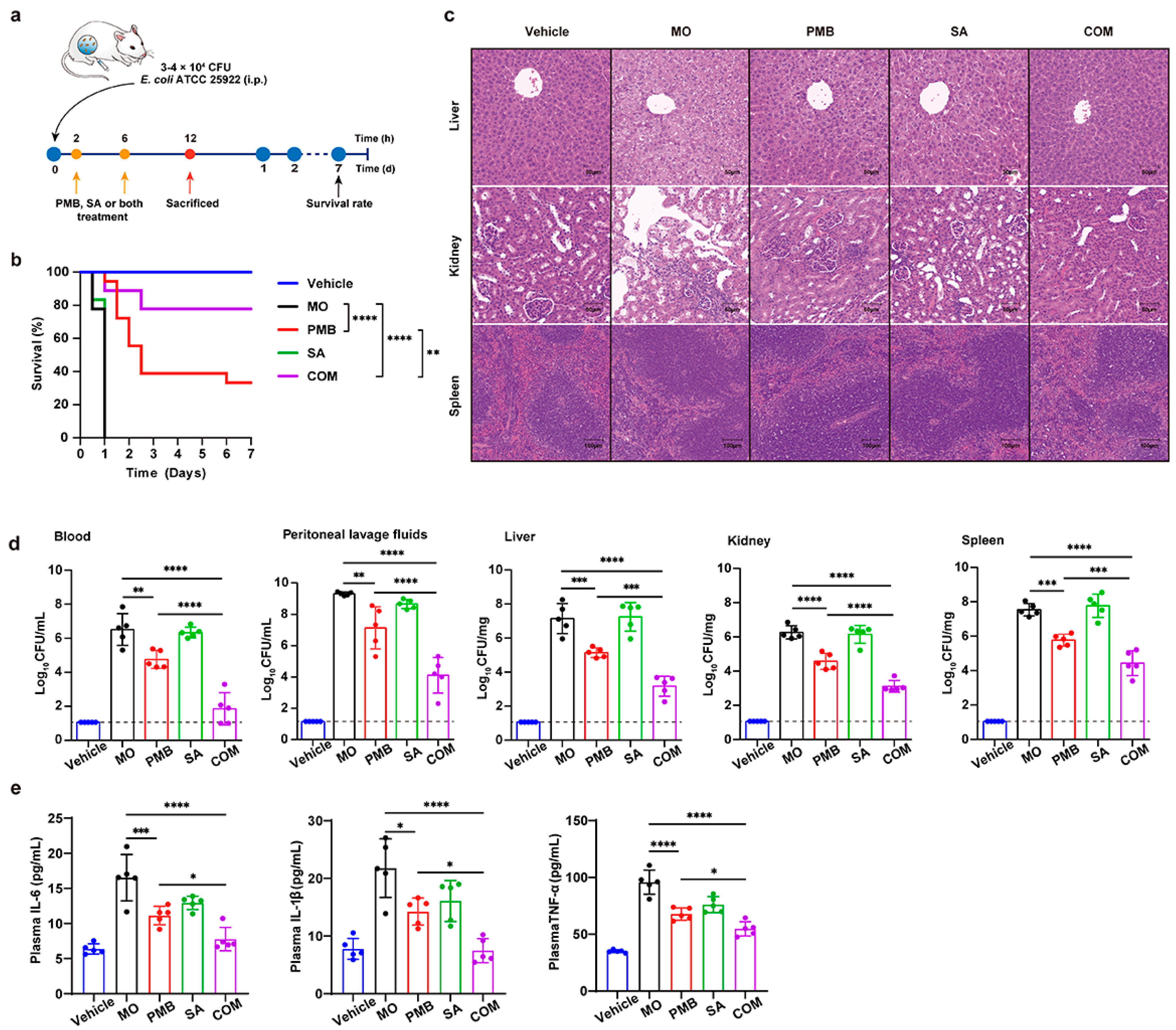 Pharmaceutics 16 00070 g003