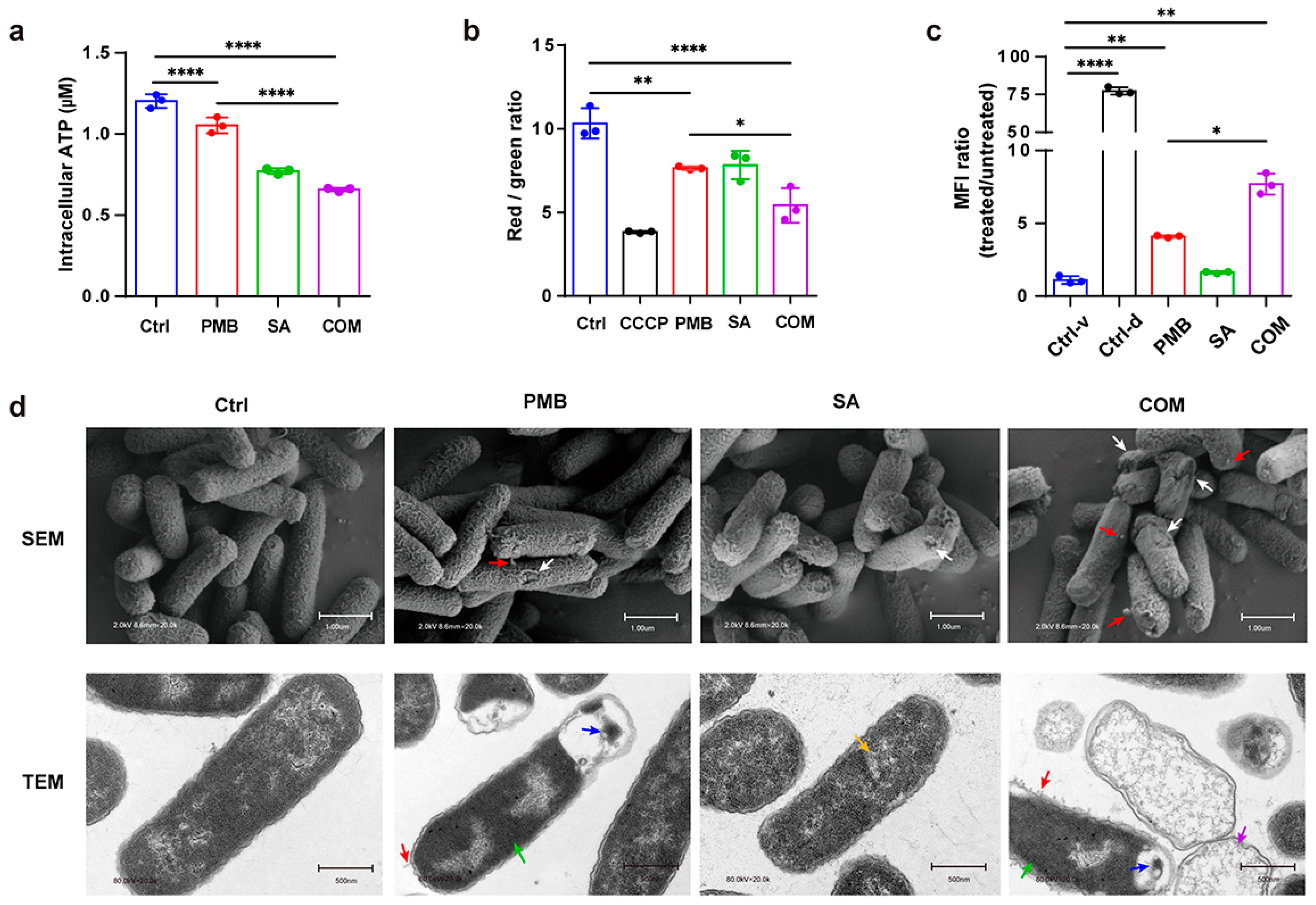 Pharmaceutics 16 00070 g004