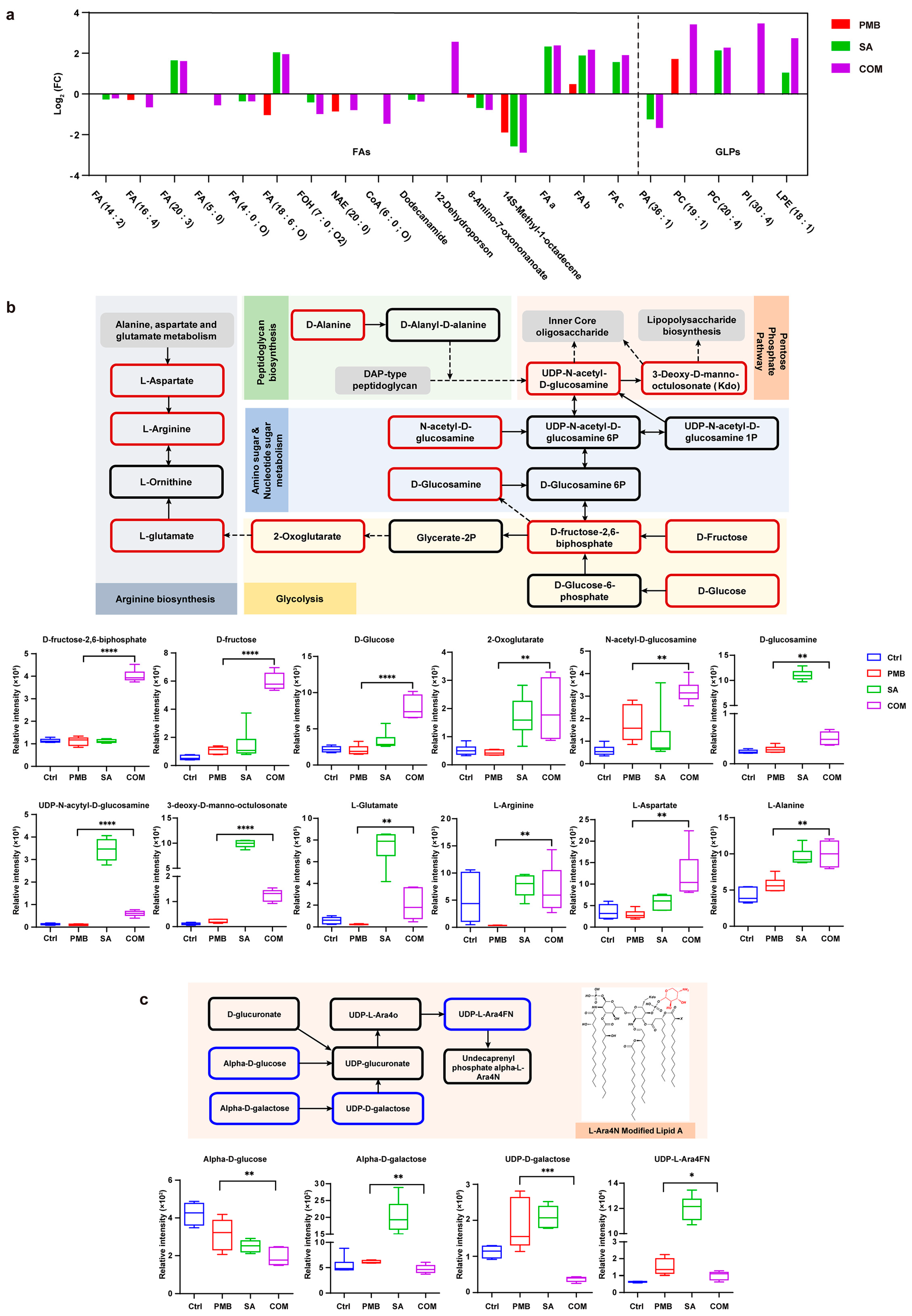 Pharmaceutics 16 00070 g005