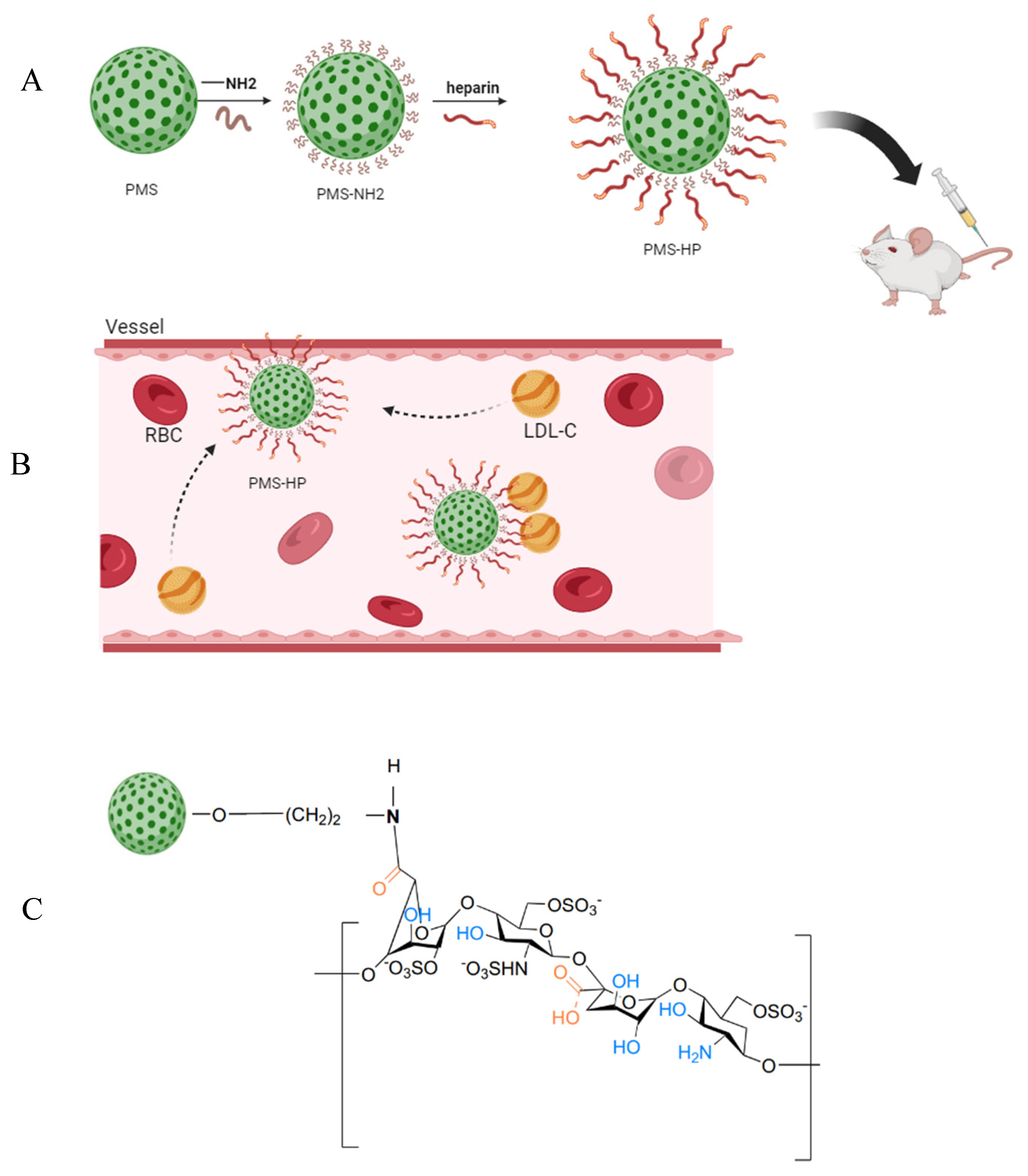 Pharmaceutics 16 00074 g001