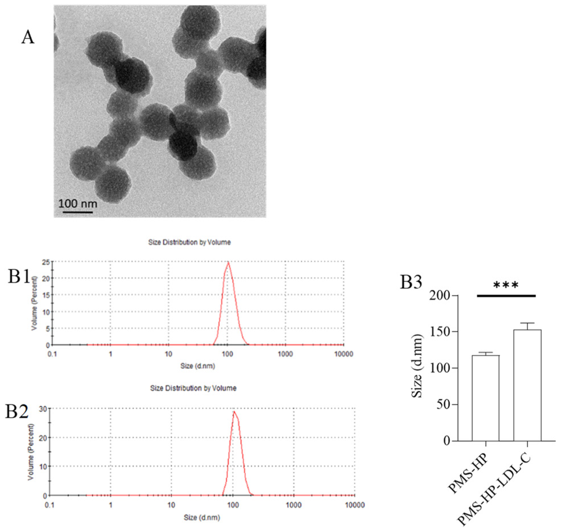 Pharmaceutics 16 00074 g003