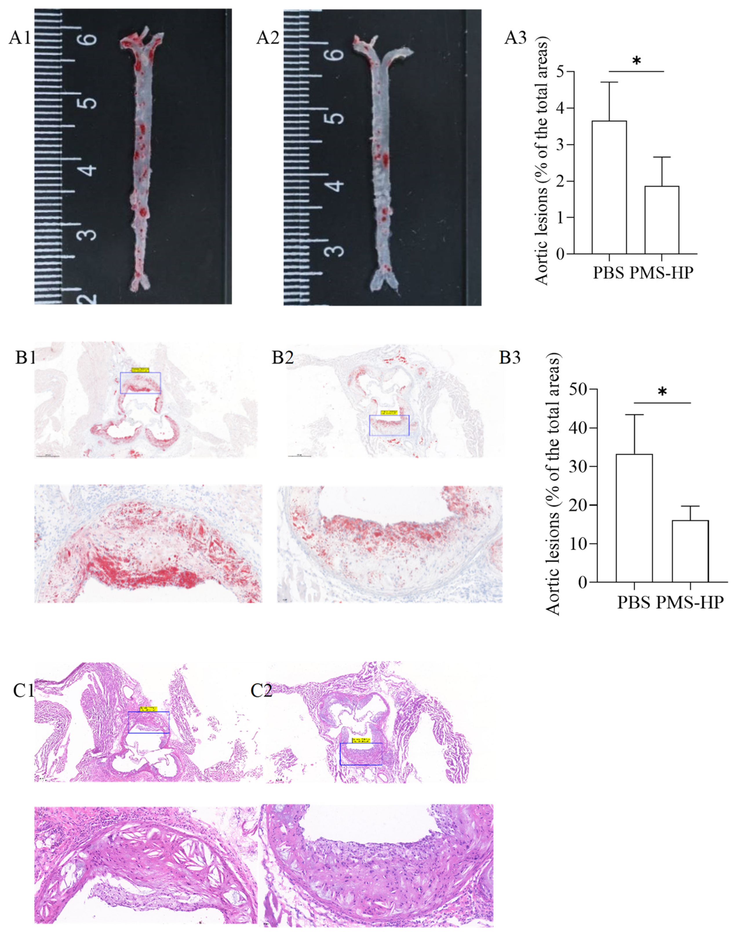 Pharmaceutics 16 00074 g010