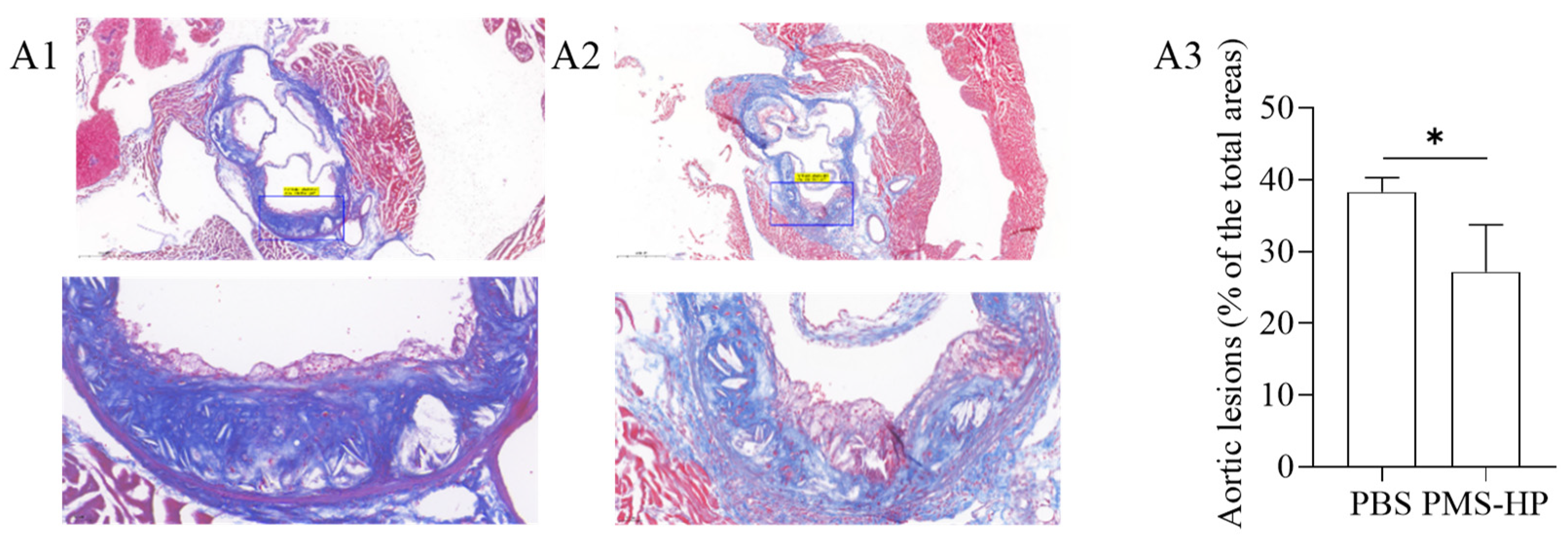 Pharmaceutics 16 00074 g011