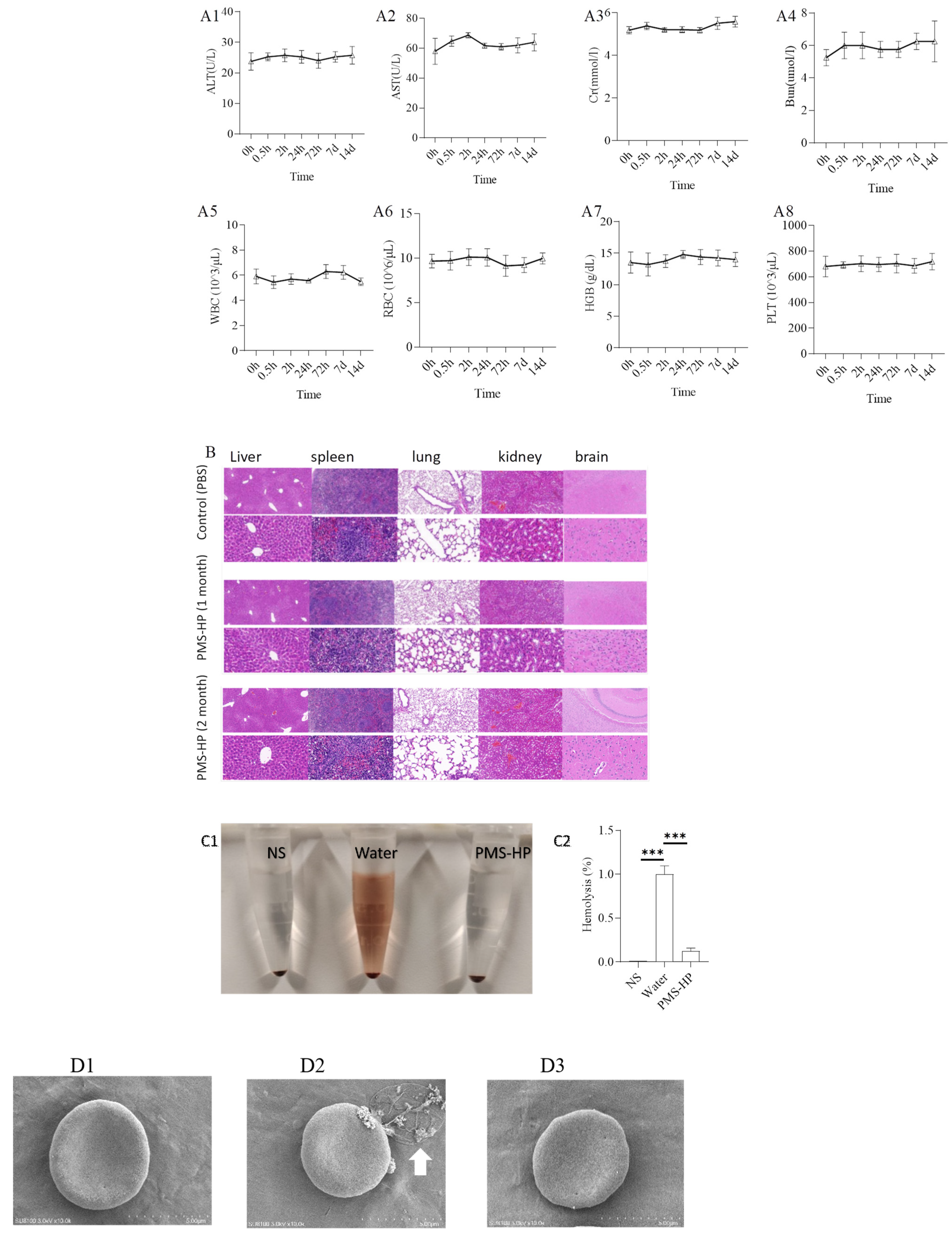 Pharmaceutics 16 00074 g012