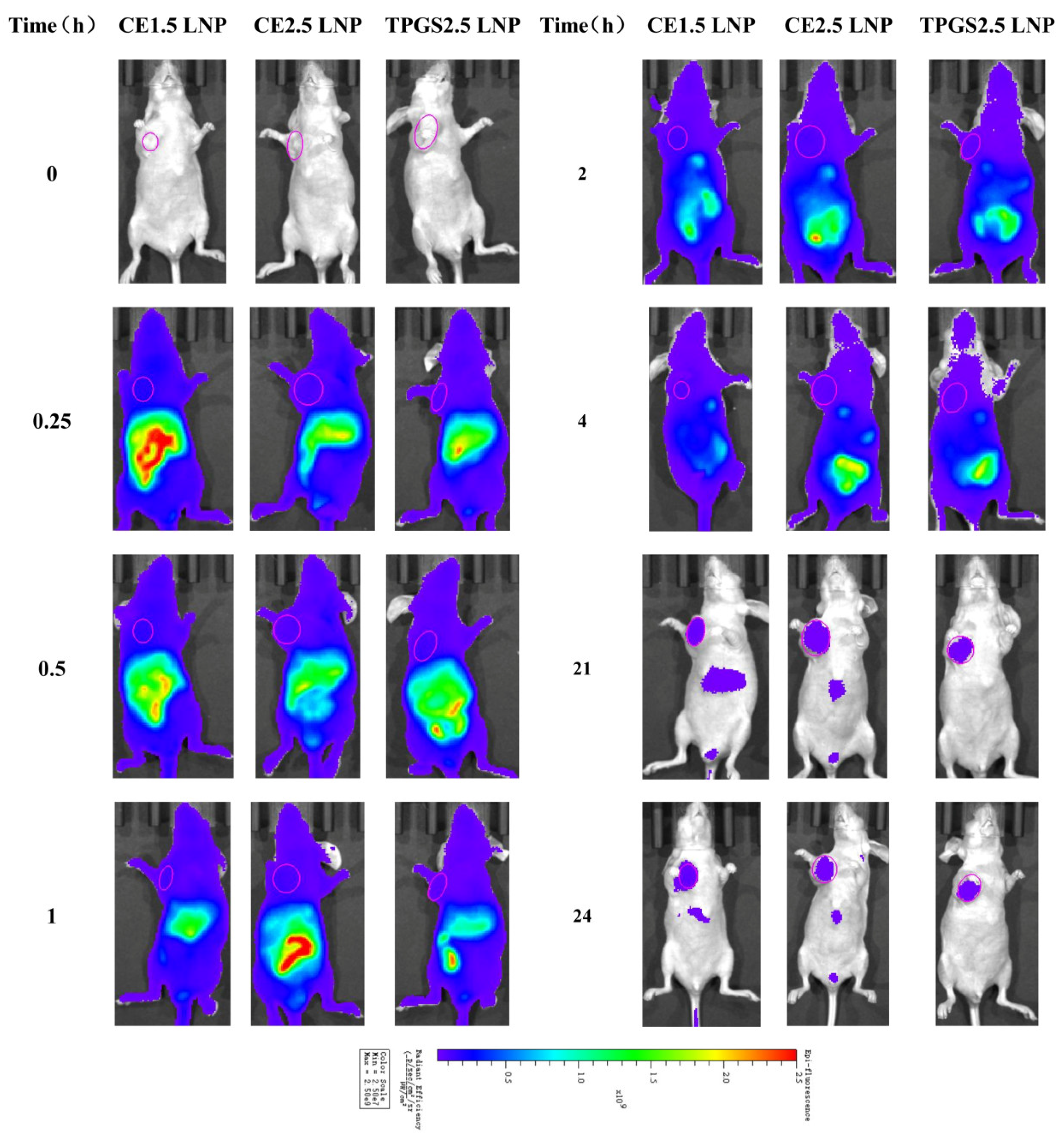 Pharmaceutics 16 00075 g004