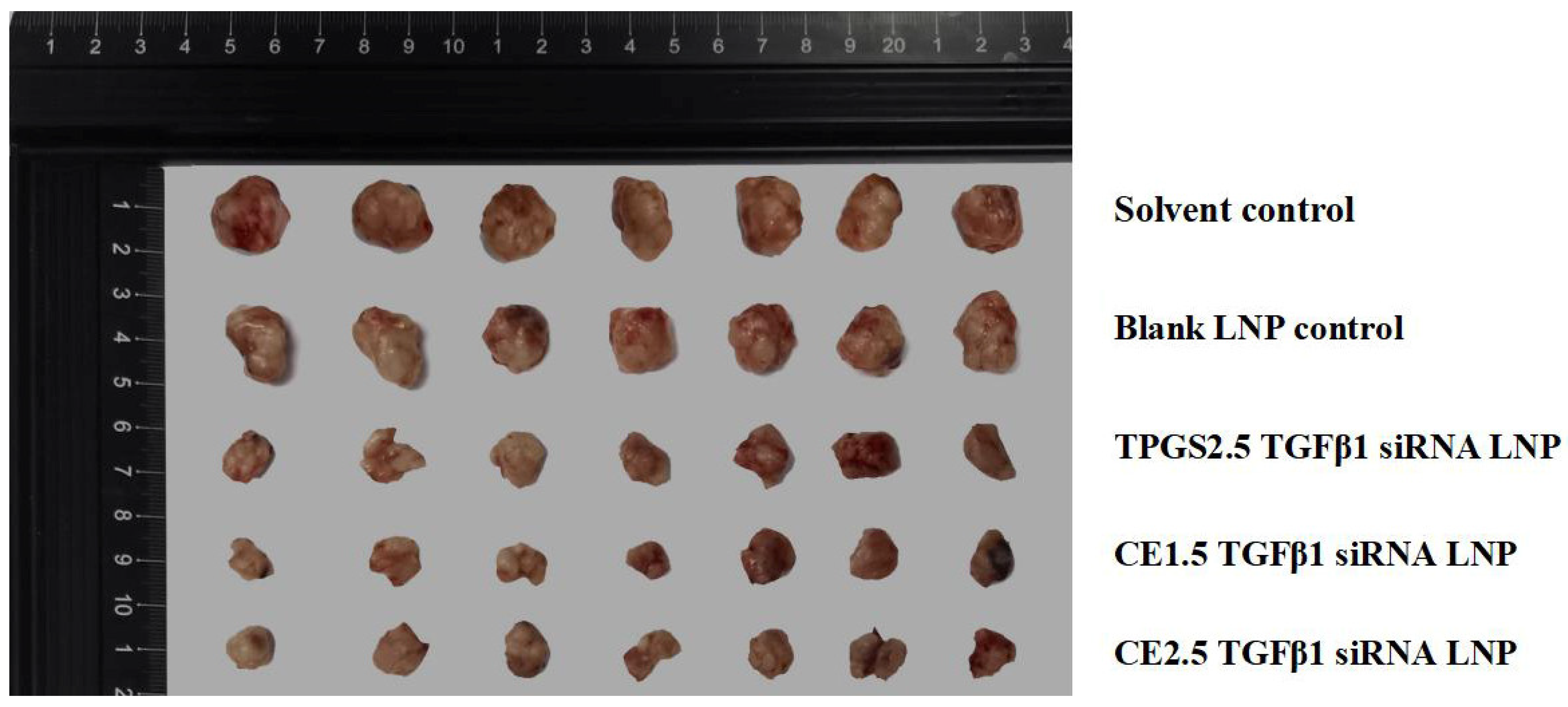 Pharmaceutics 16 00075 g007