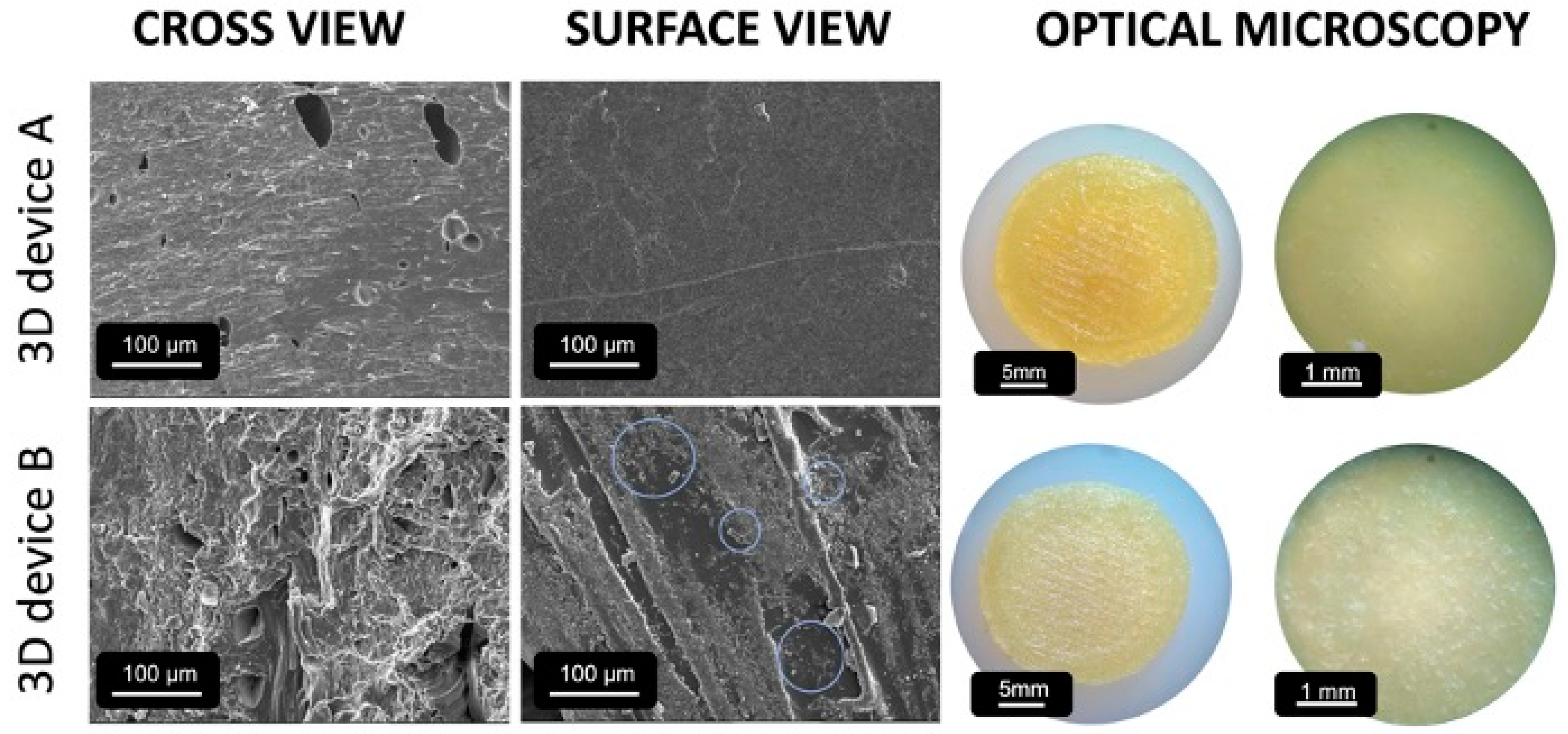 Pharmaceutics 16 00077 g005