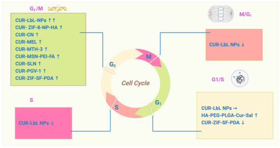 Curcumin for Treating Breast Cancer: A Review of Molecular Mechanisms ...
