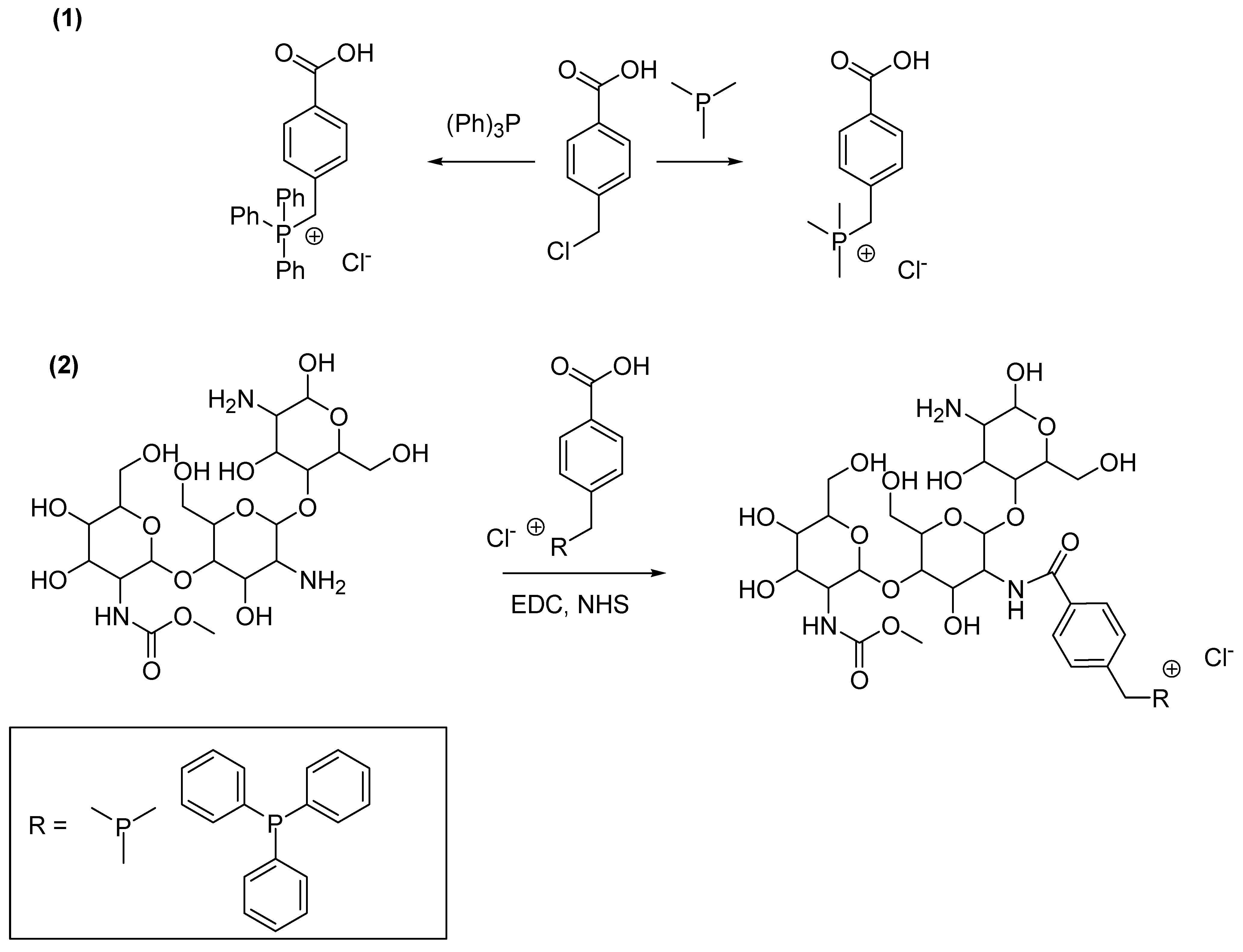 Pharmaceutics 16 00080 sch001 Pharmaceutics 16 00080 sch001