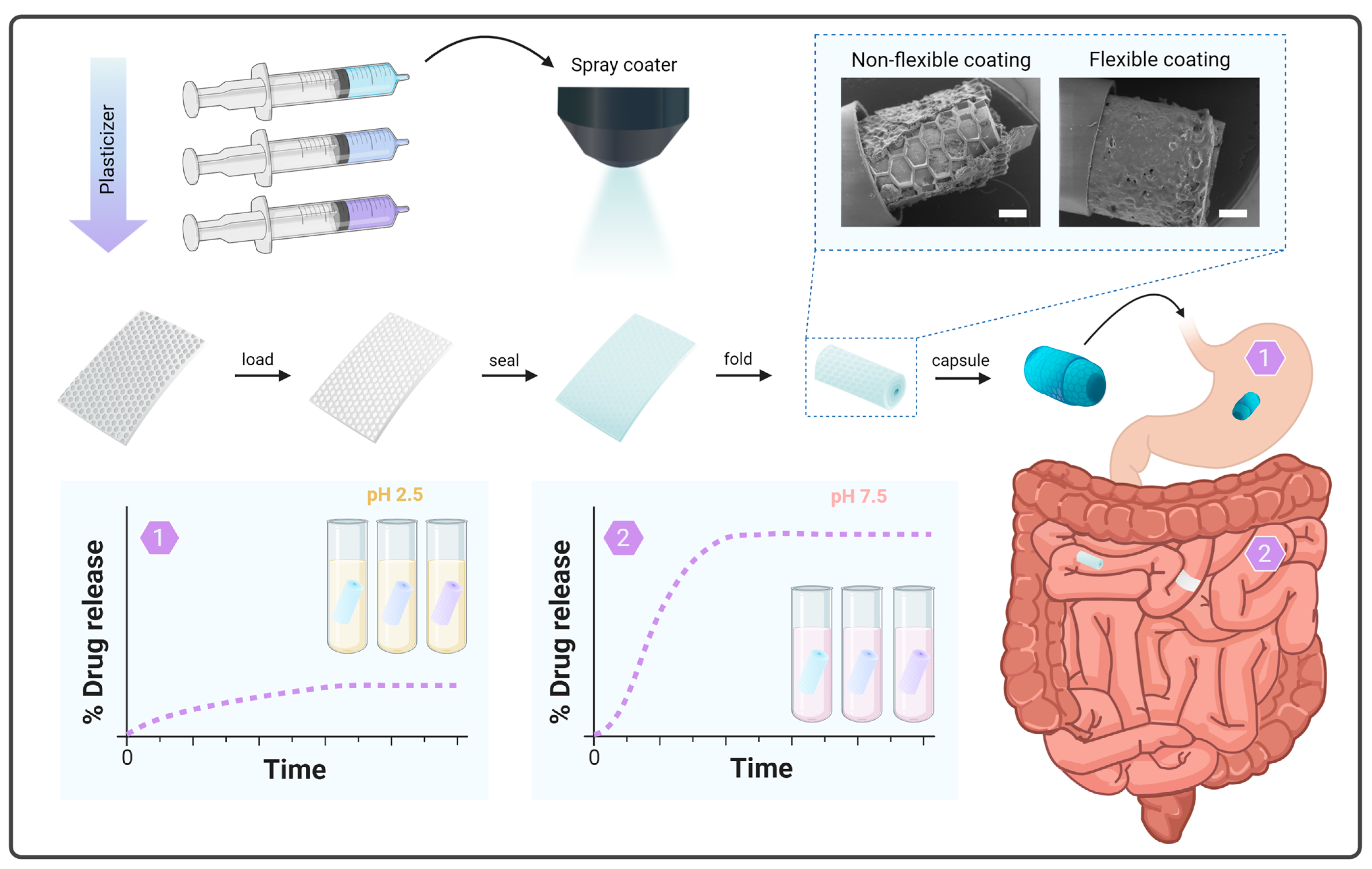 Pharmaceutics 16 00081 g001