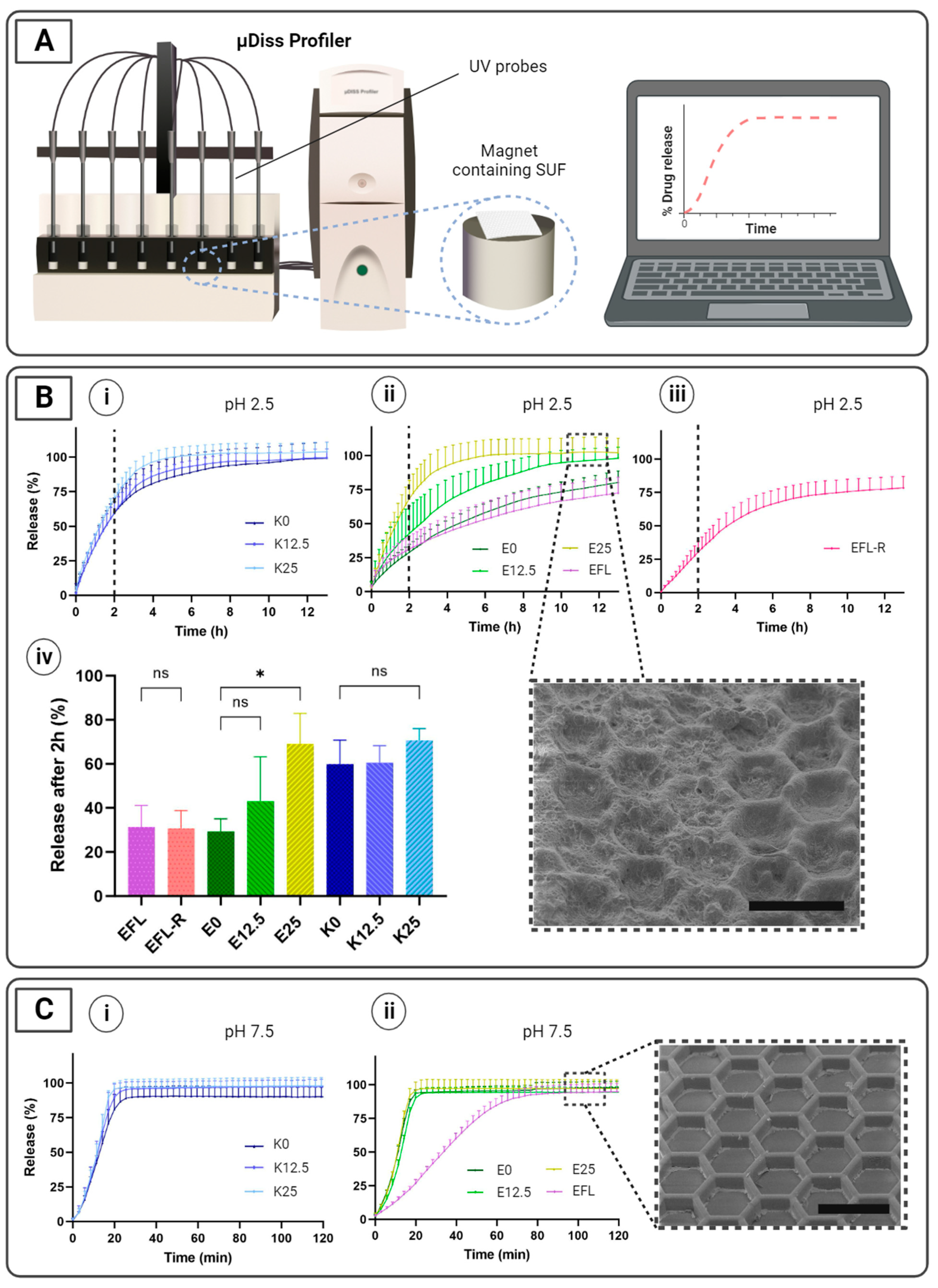 Pharmaceutics 16 00081 g004