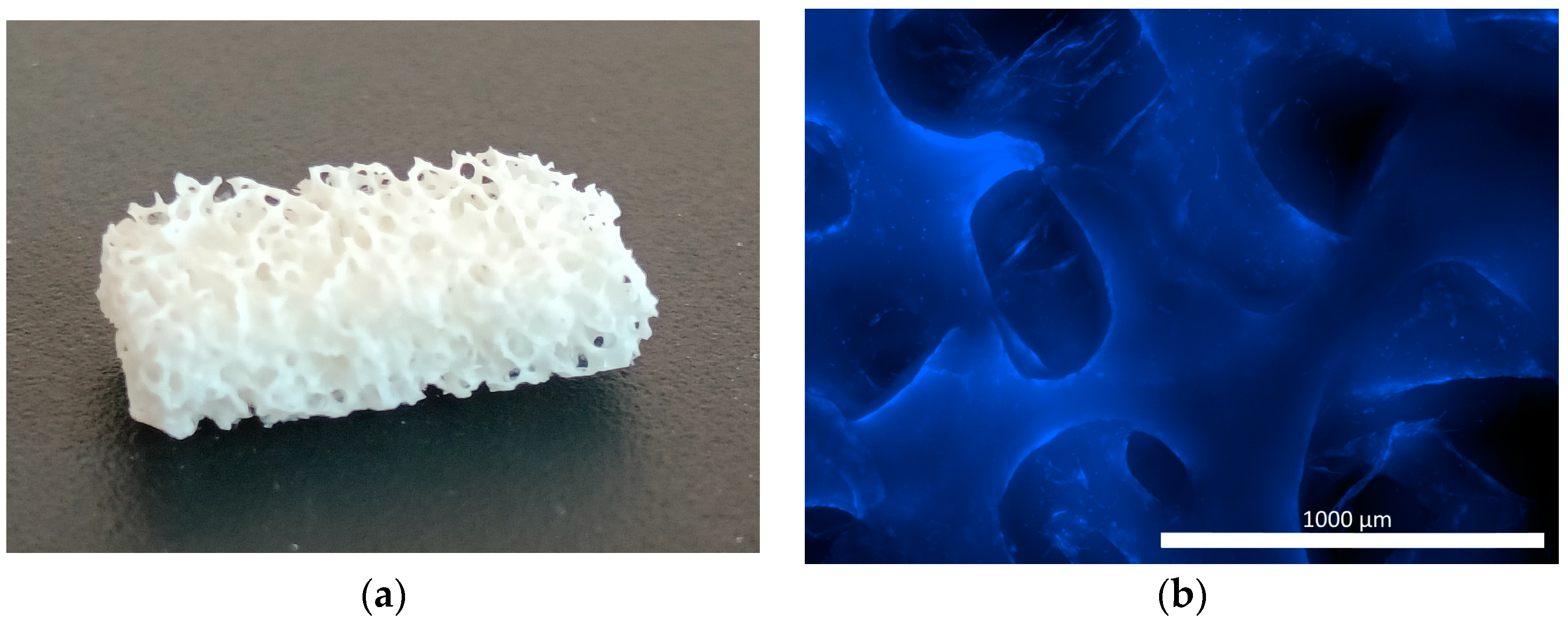 Pharmaceutics 16 00085 g001