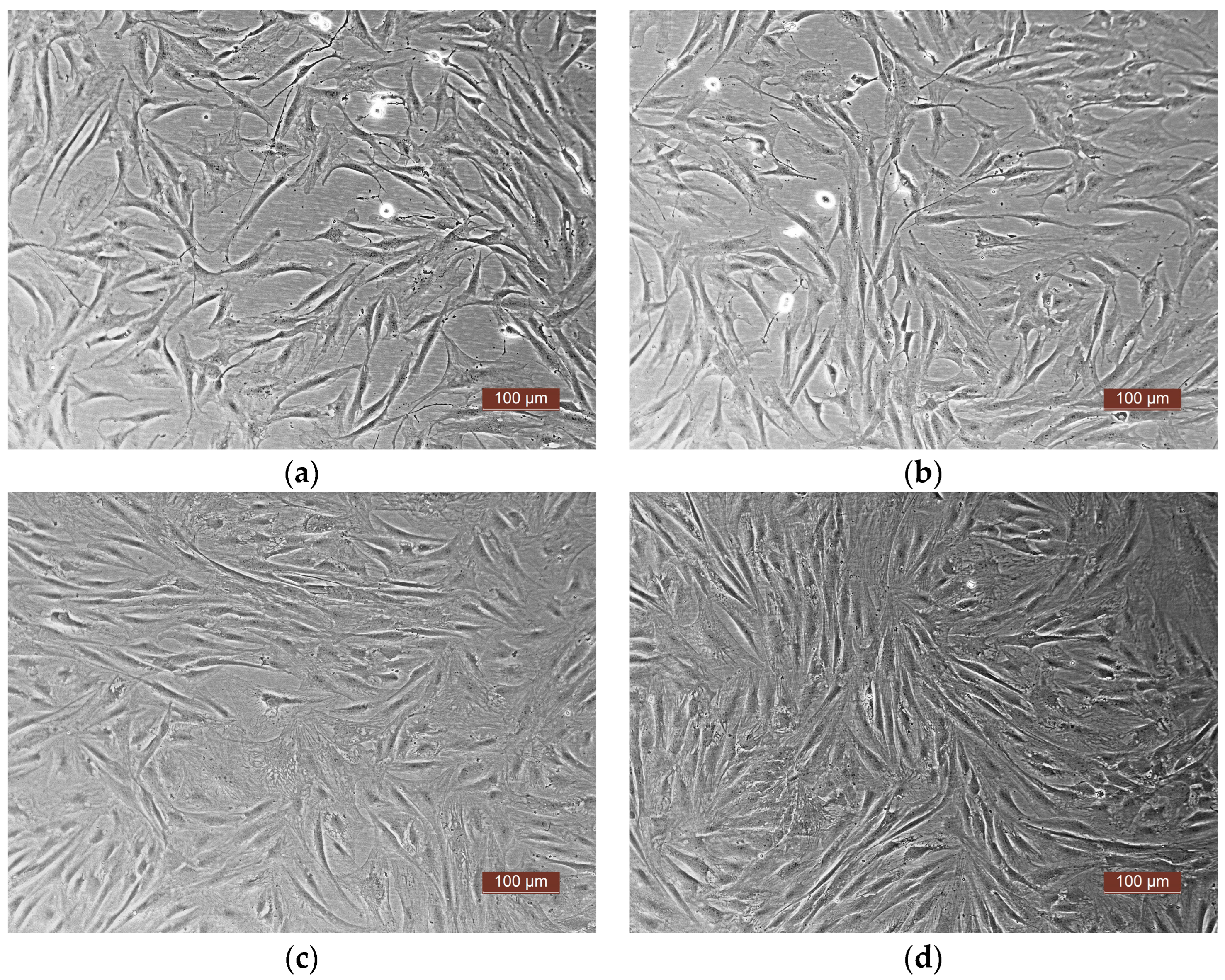 Pharmaceutics 16 00085 g002
