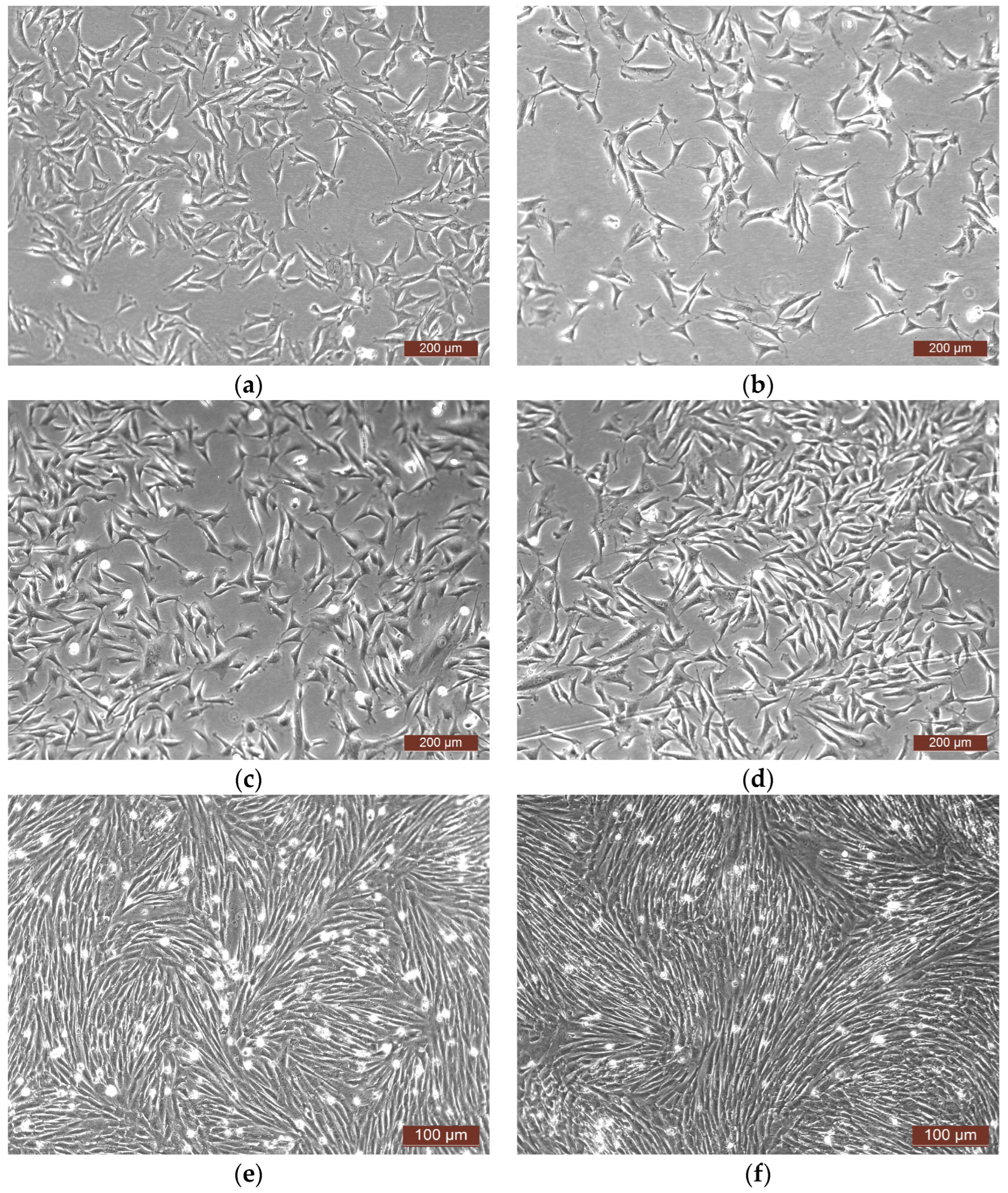 Pharmaceutics 16 00085 g003