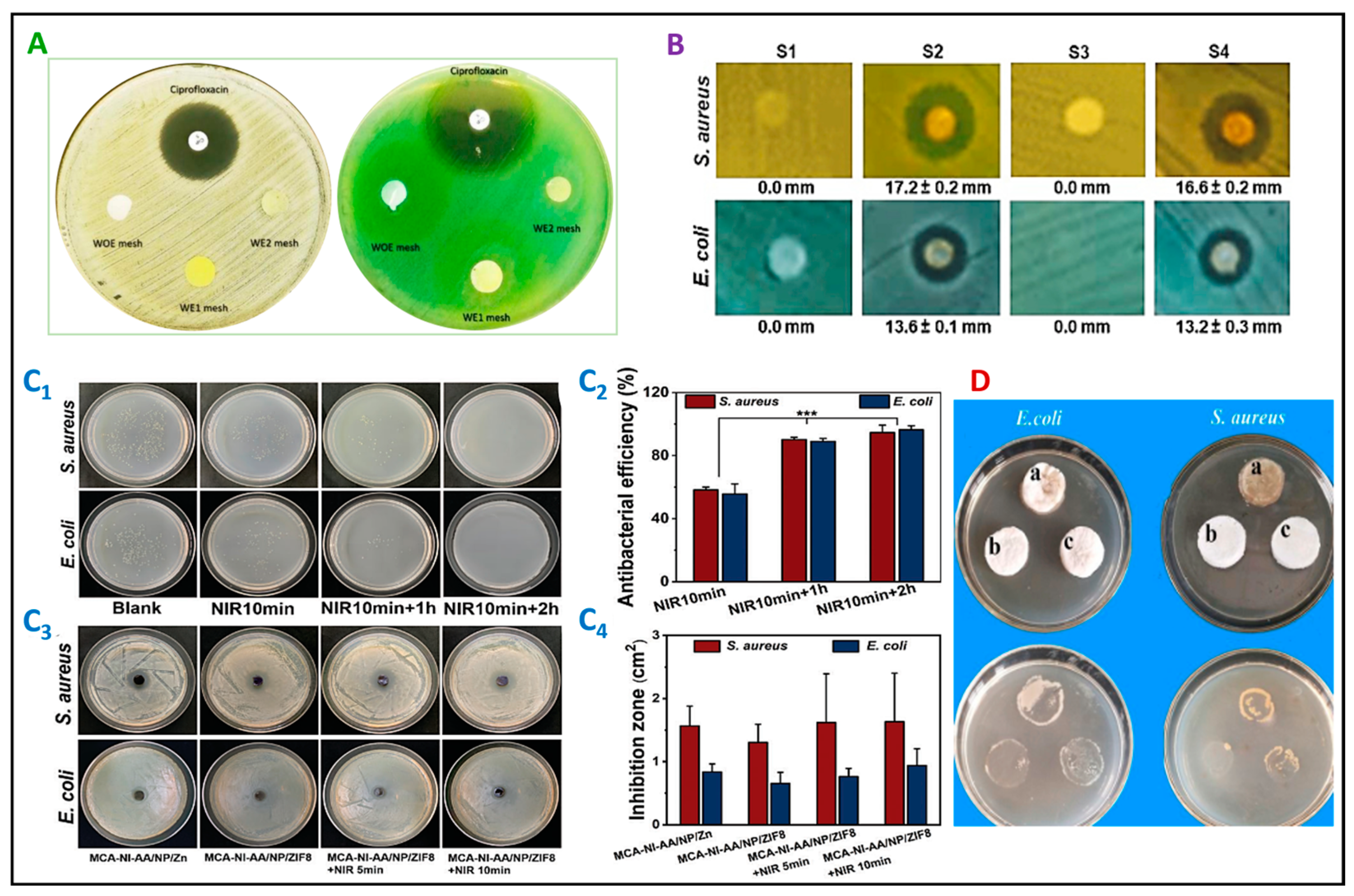 Pharmaceutics 16 00093 g003 Pharmaceutics 16 00093 g003