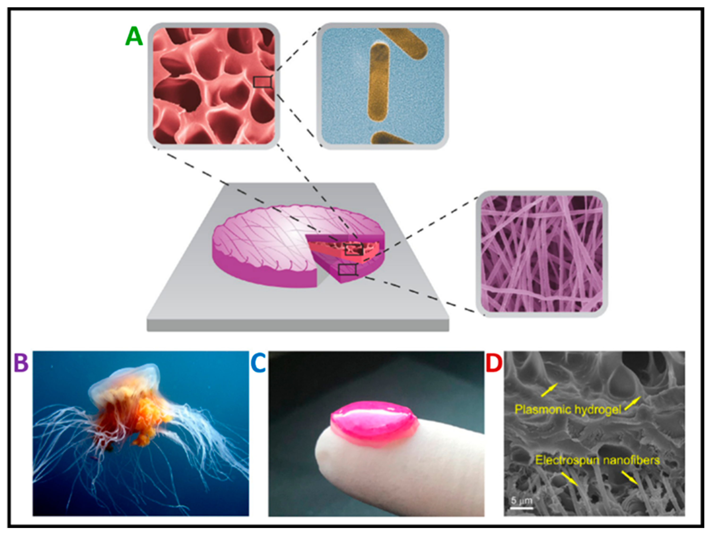 Pharmaceutics 16 00093 g005 Pharmaceutics 16 00093 g005