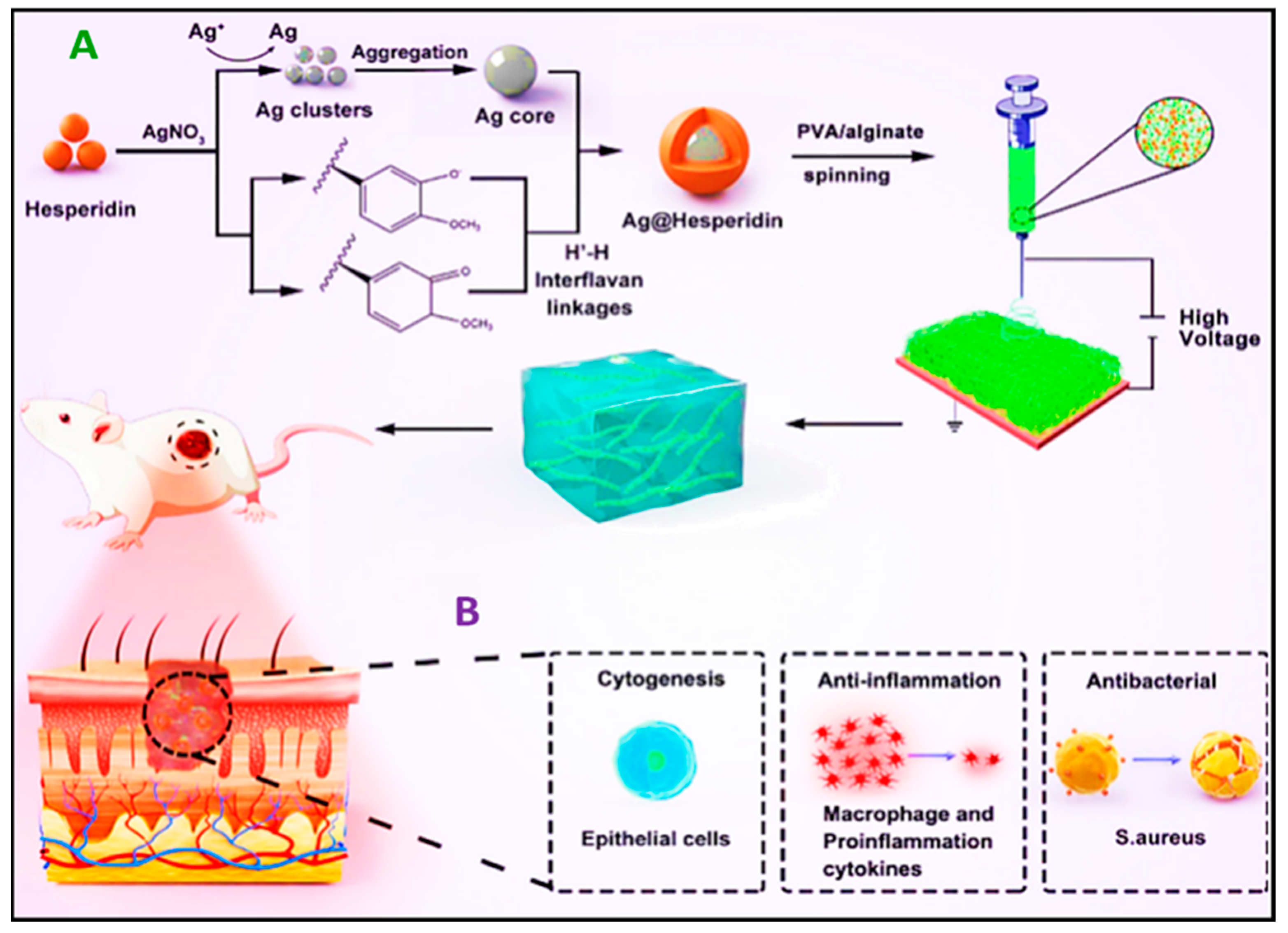 Pharmaceutics 16 00093 g006 Pharmaceutics 16 00093 g006
