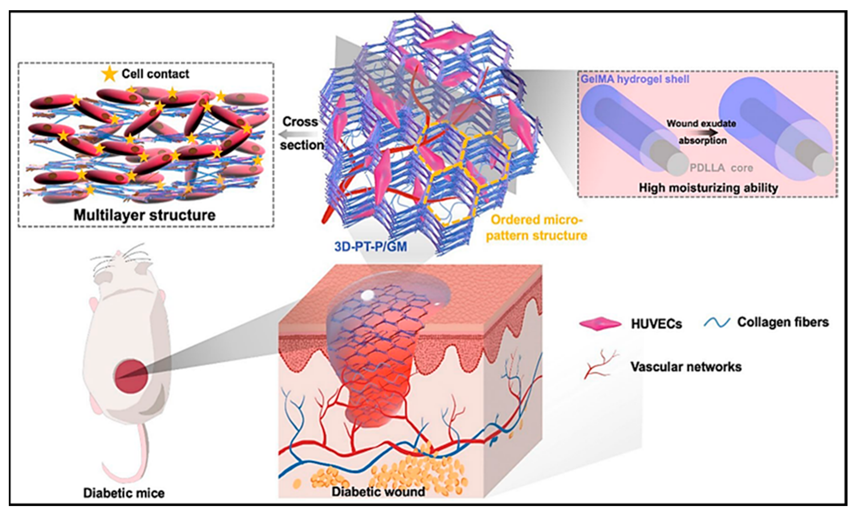 Pharmaceutics 16 00093 g007 Pharmaceutics 16 00093 g007