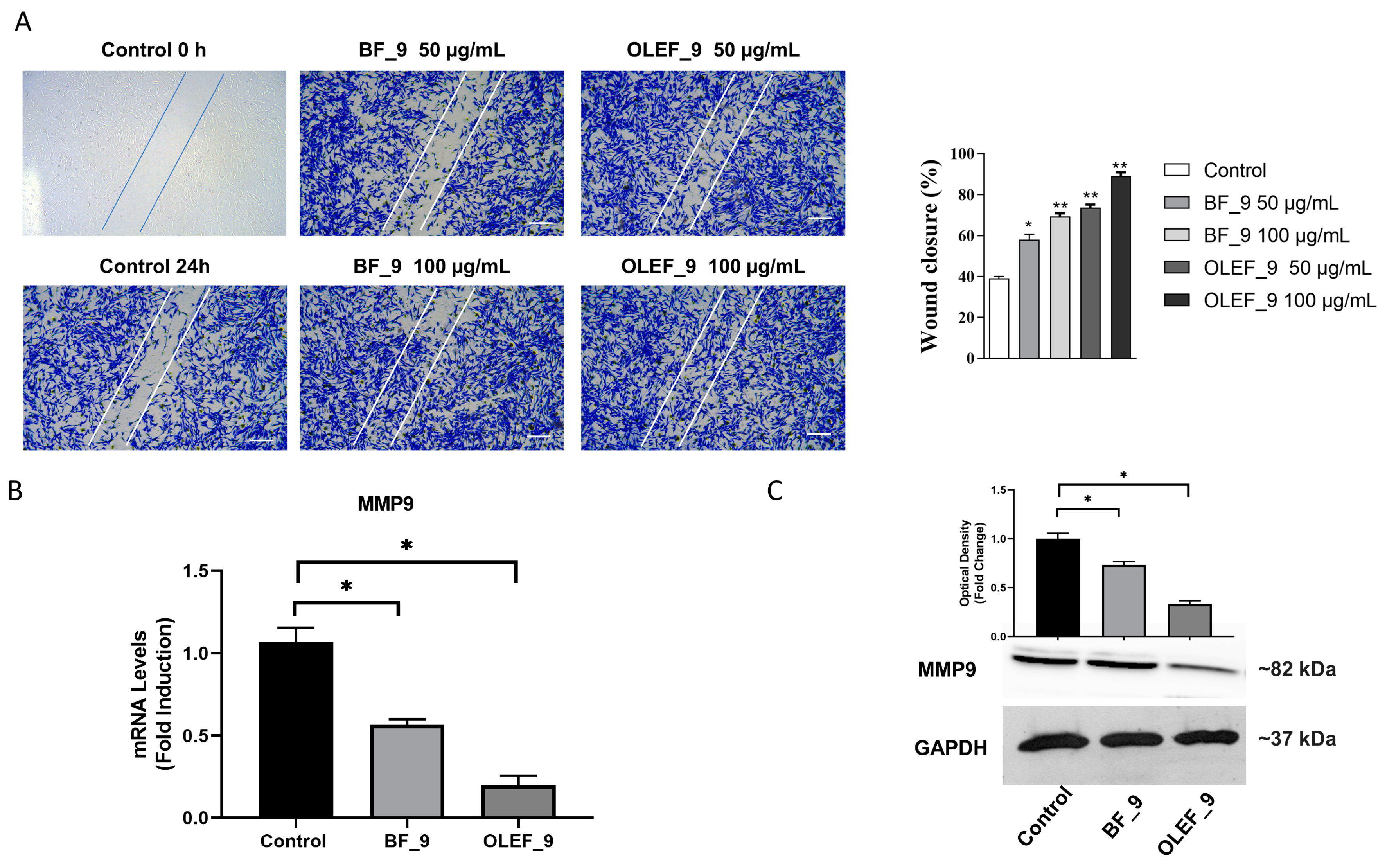 Pharmaceutics 16 00099 g008